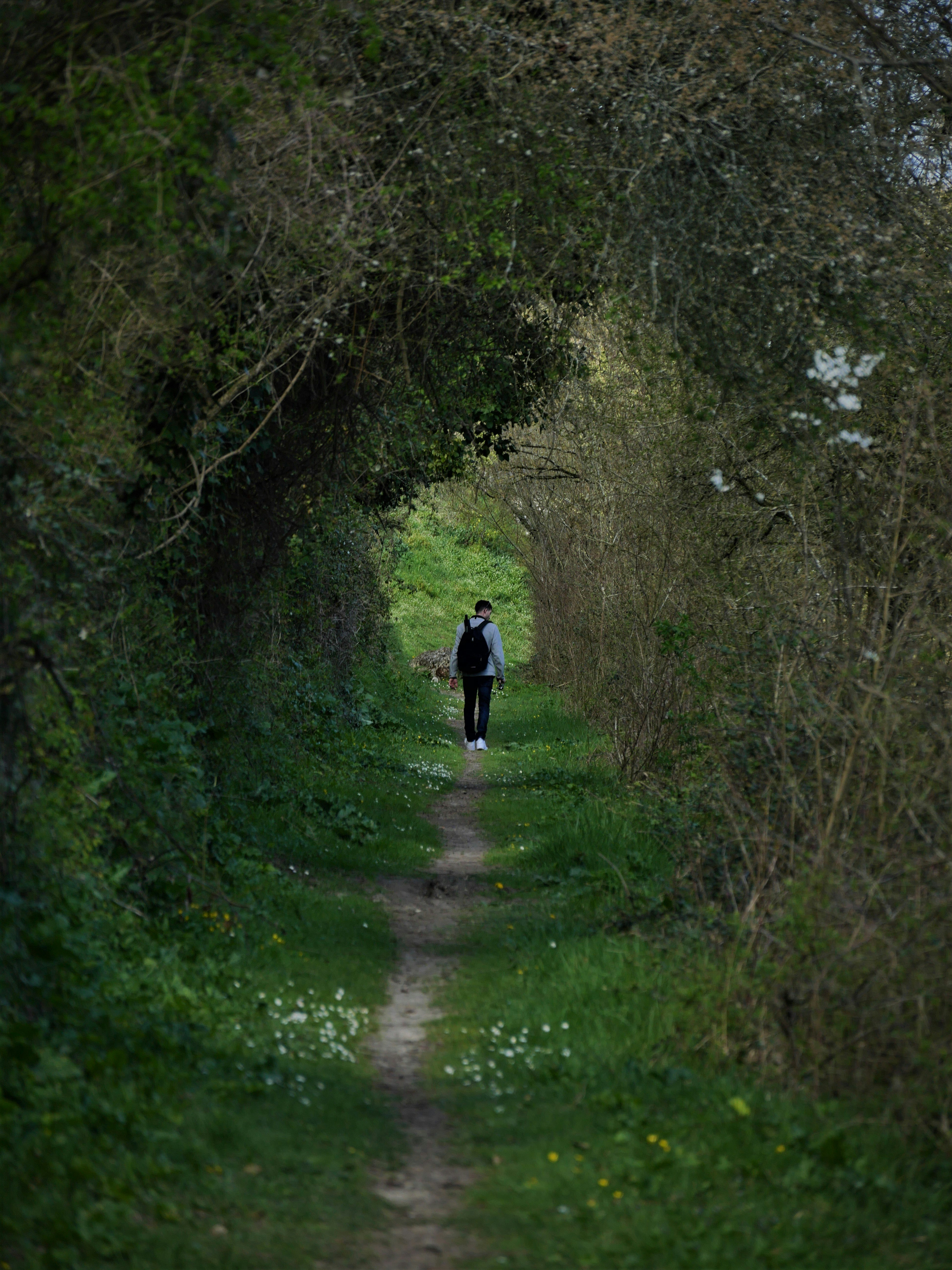 man in white shirt and black pants walking on dirt road between trees during daytime