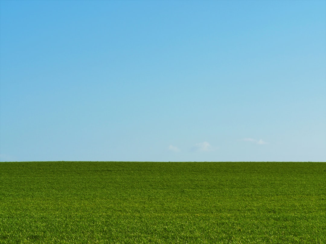 green grass field under blue sky during daytime