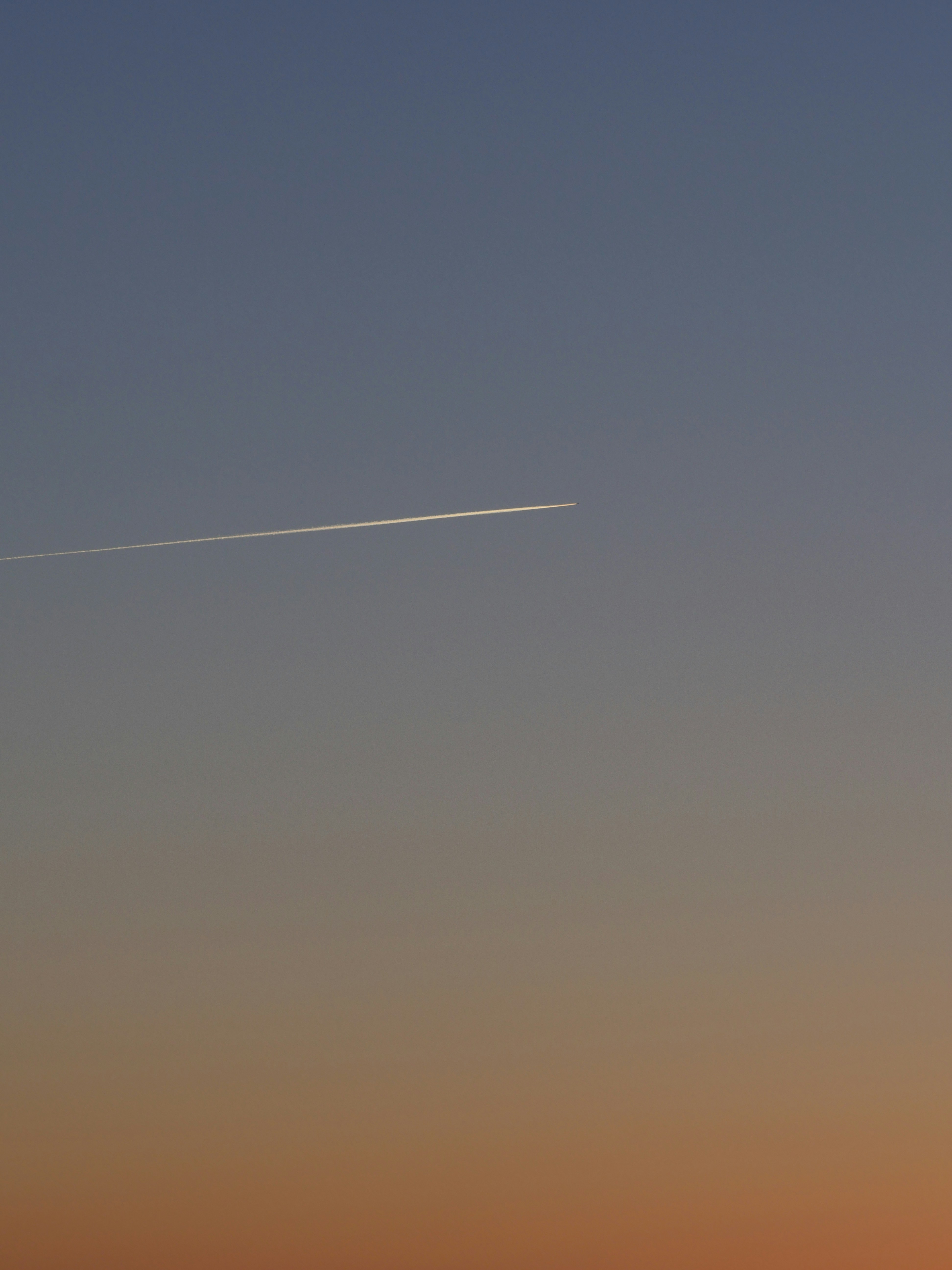 Photo by nimbus_vulpis