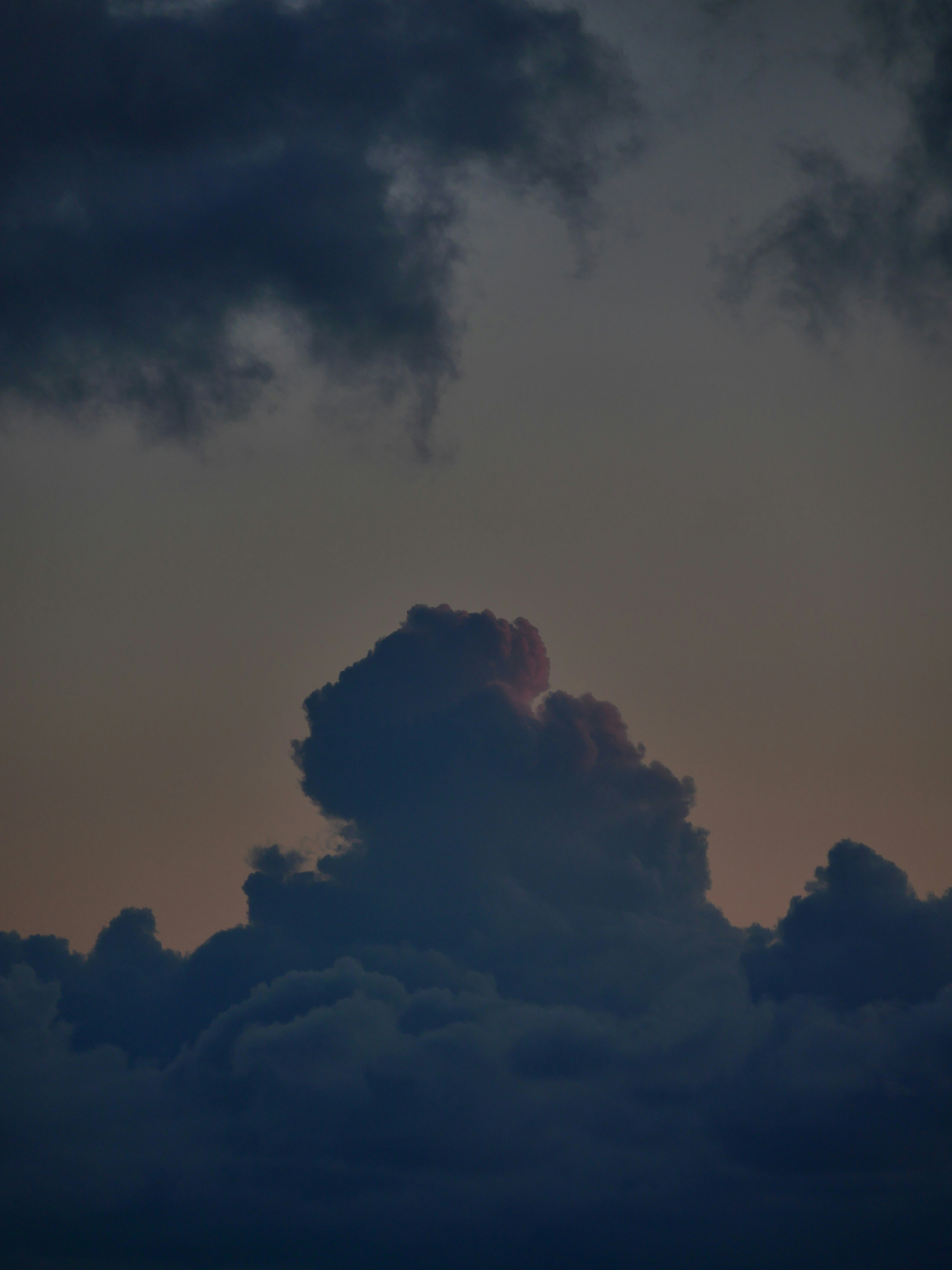 Photo by nimbus_vulpis