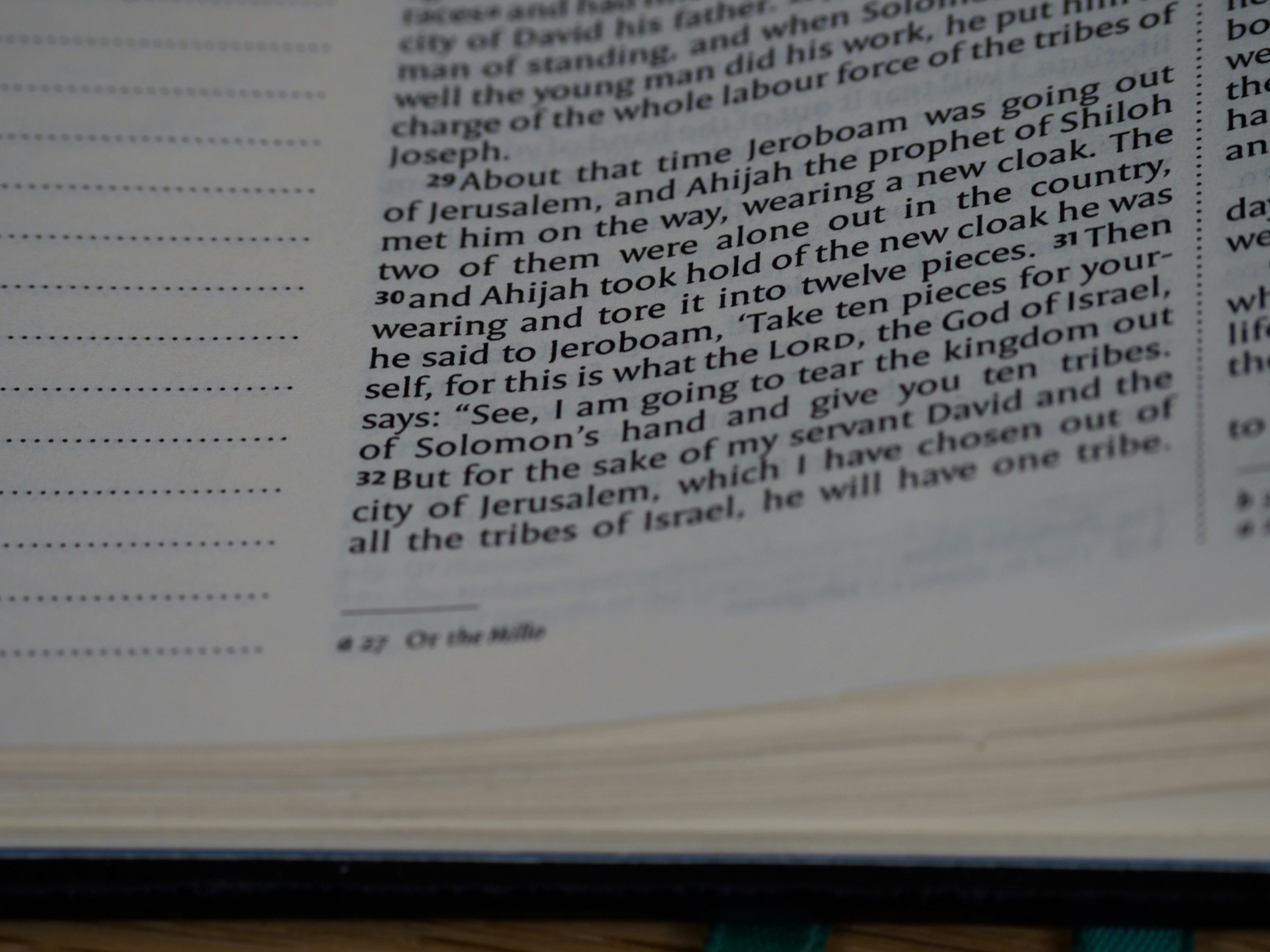 Photo by brett_jordan