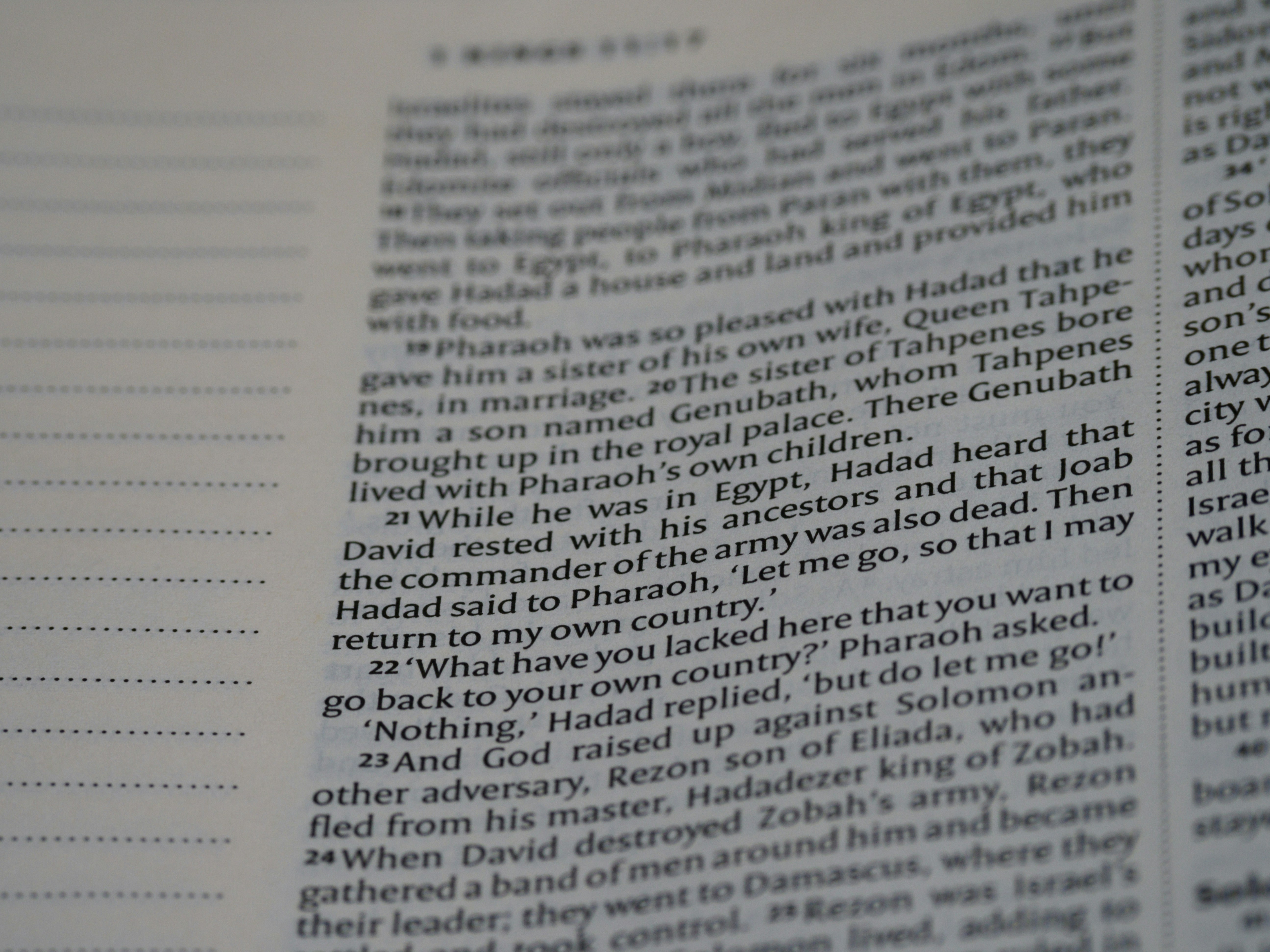 Photo by brett_jordan