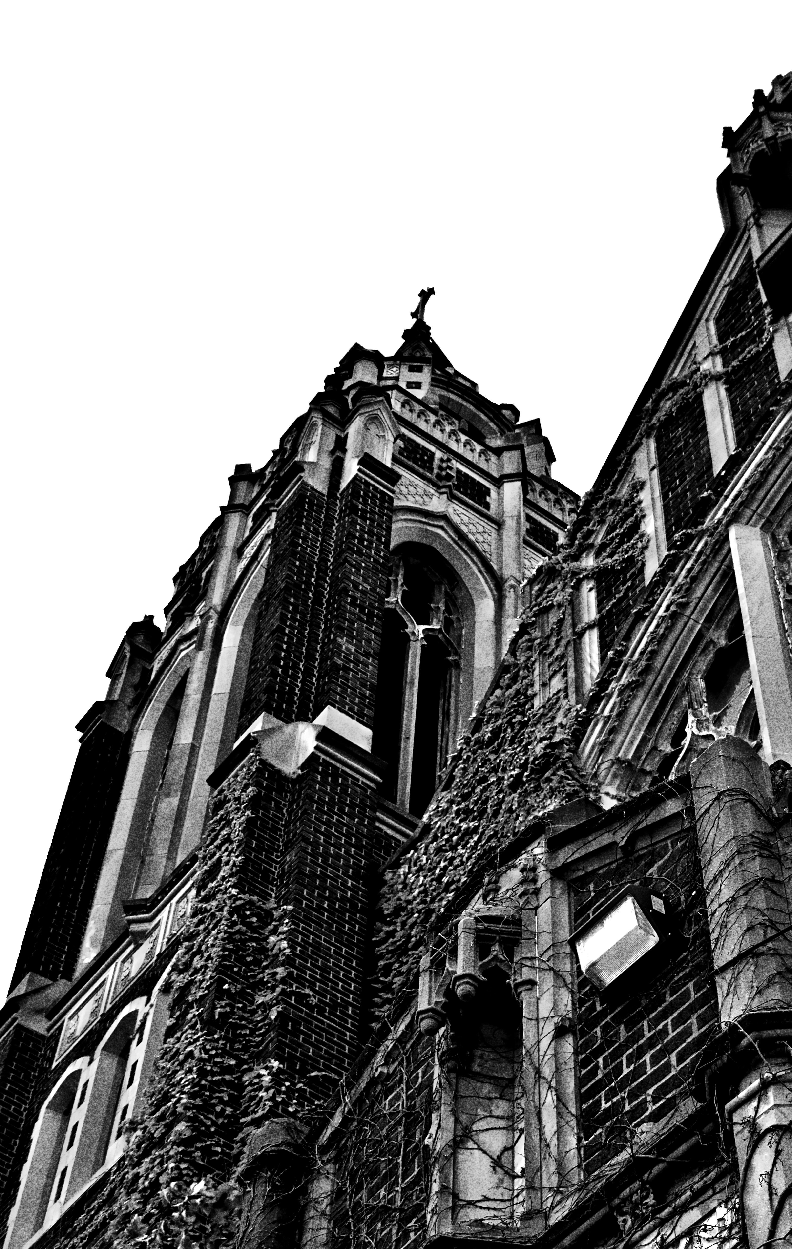 Photo by mrgreatheart