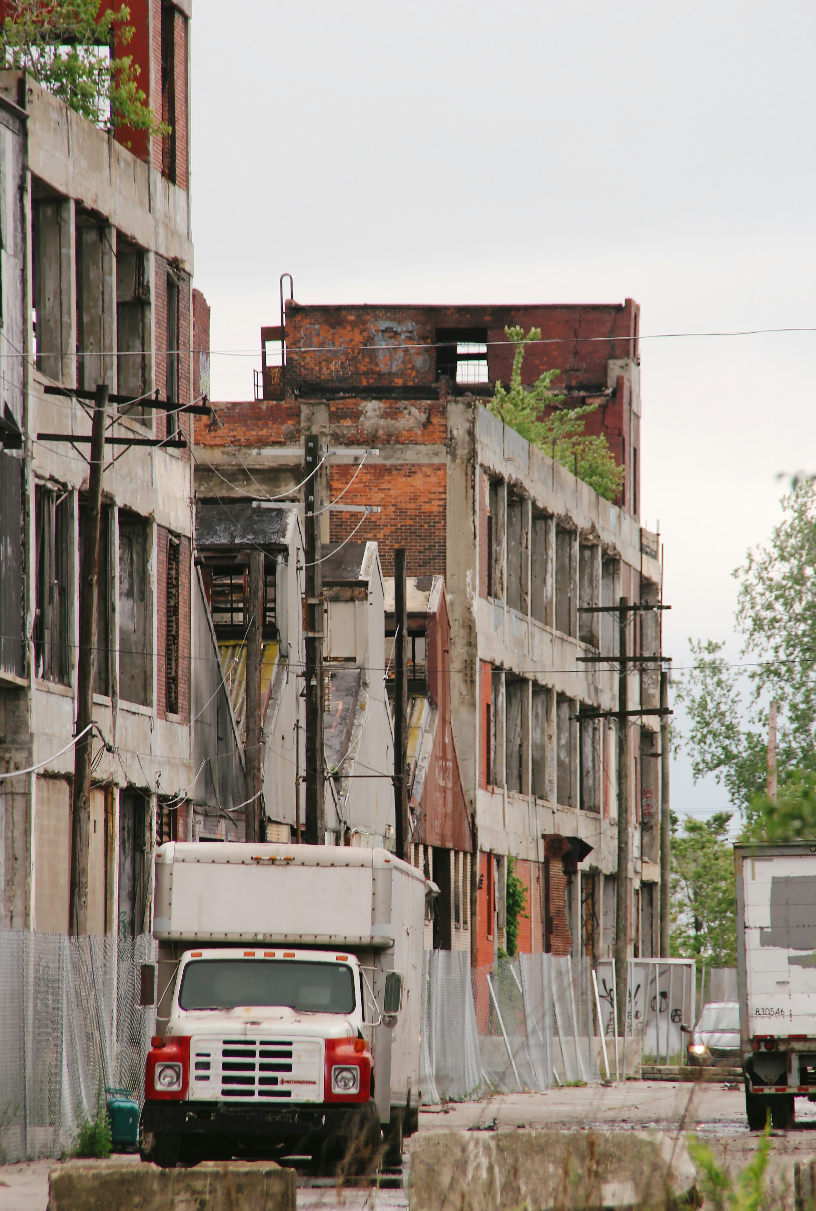 Photo by mrgreatheart