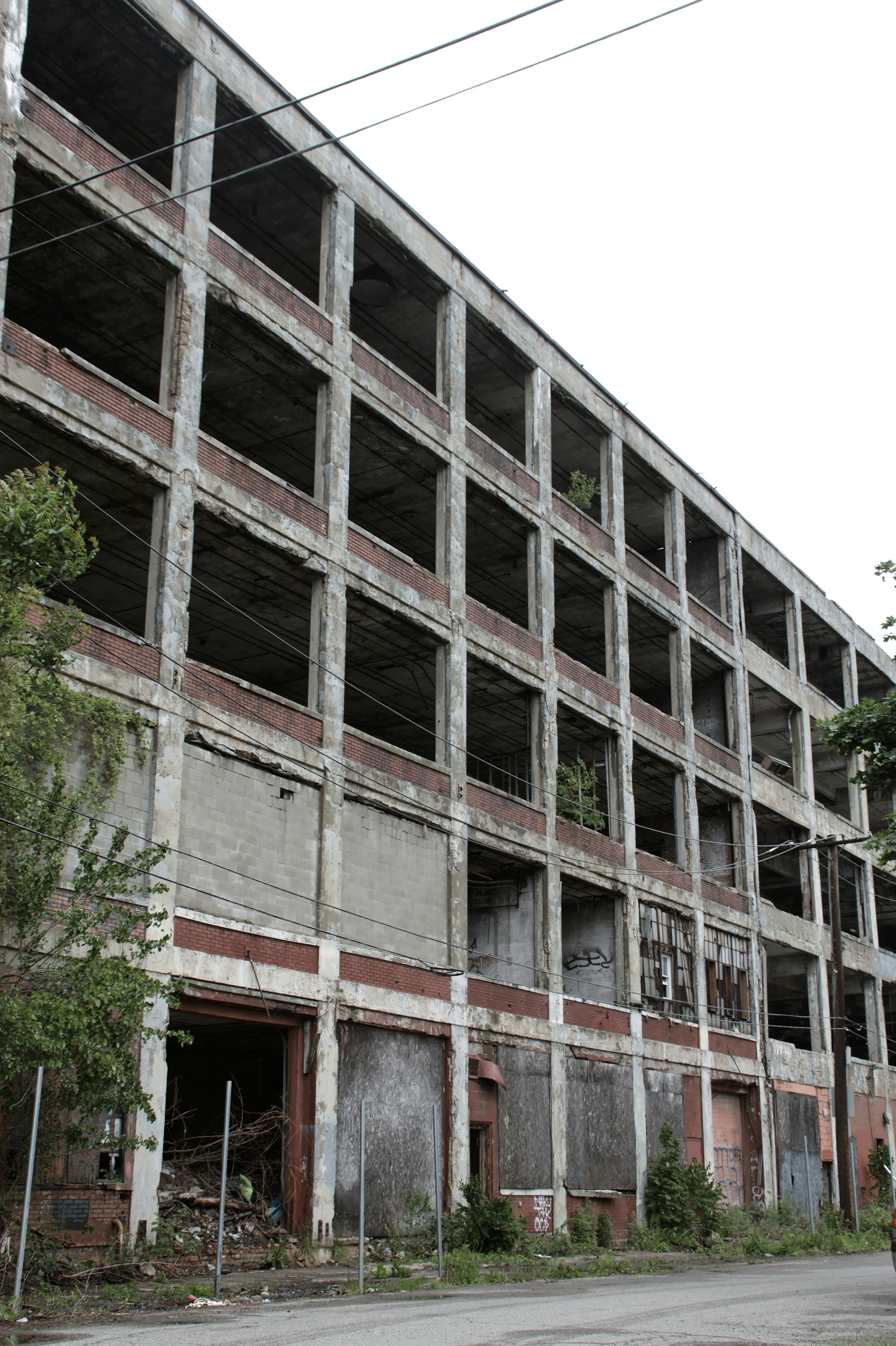 Photo by mrgreatheart