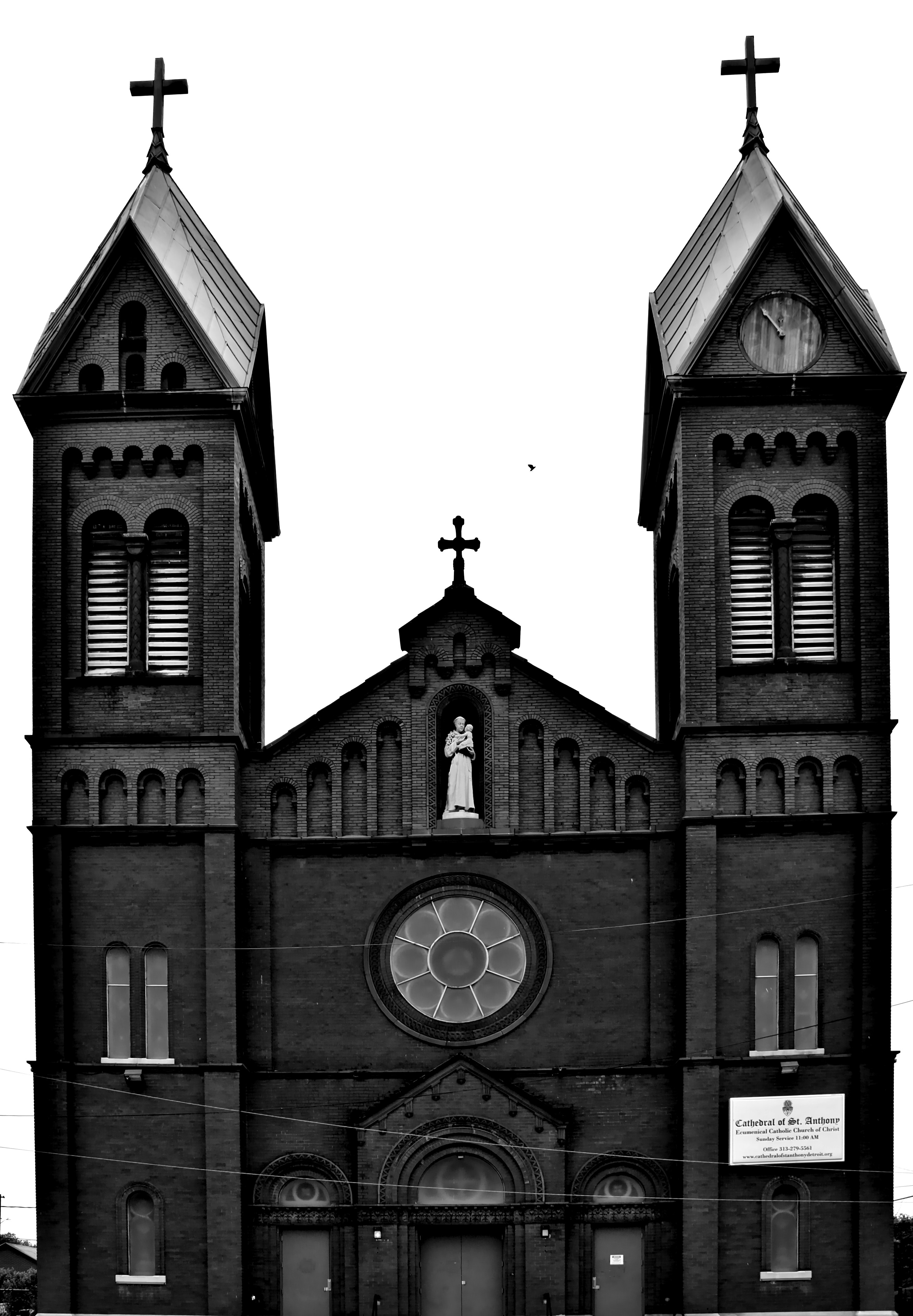 Photo by mrgreatheart