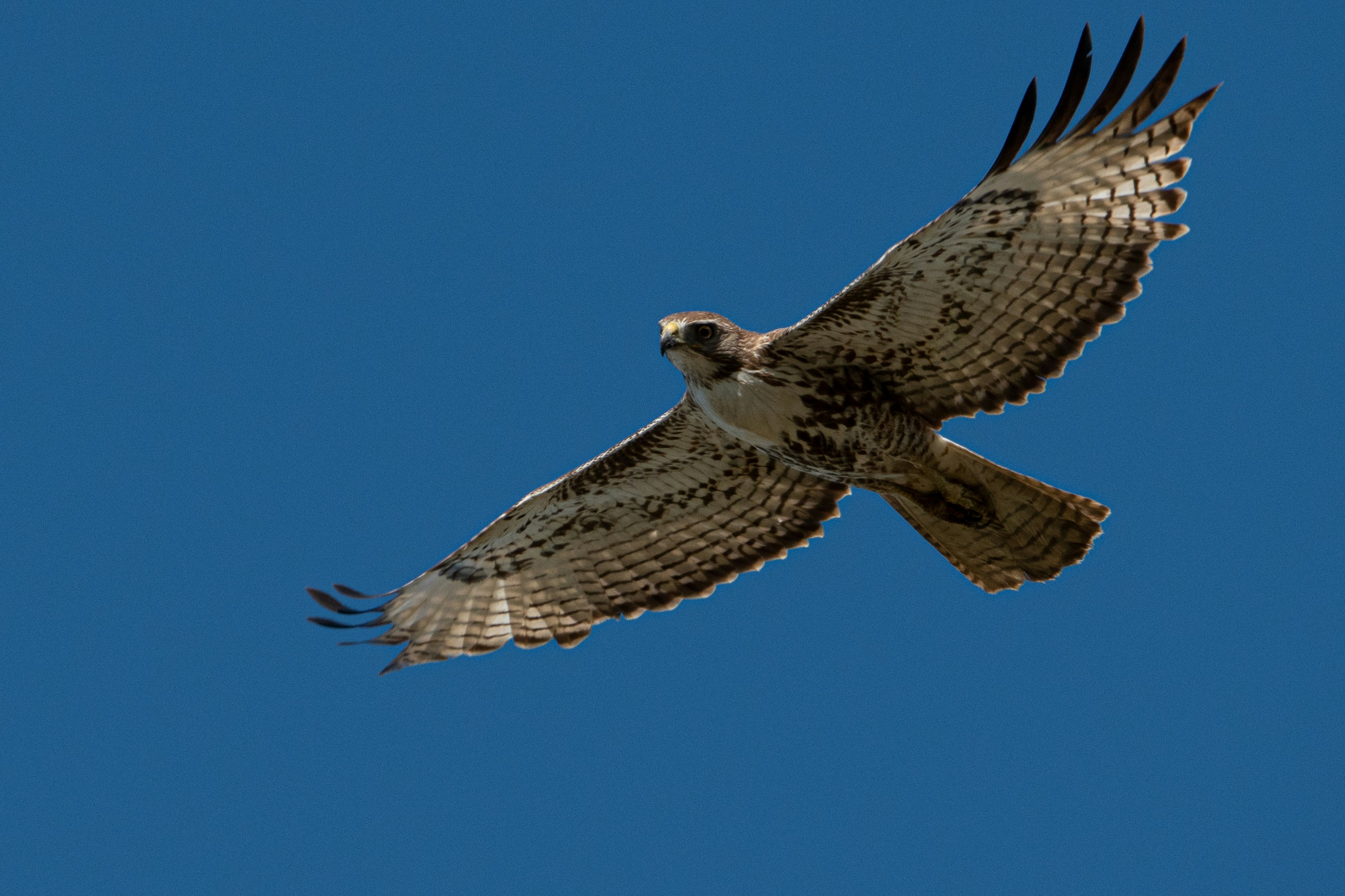 Photo by elisastonephotography