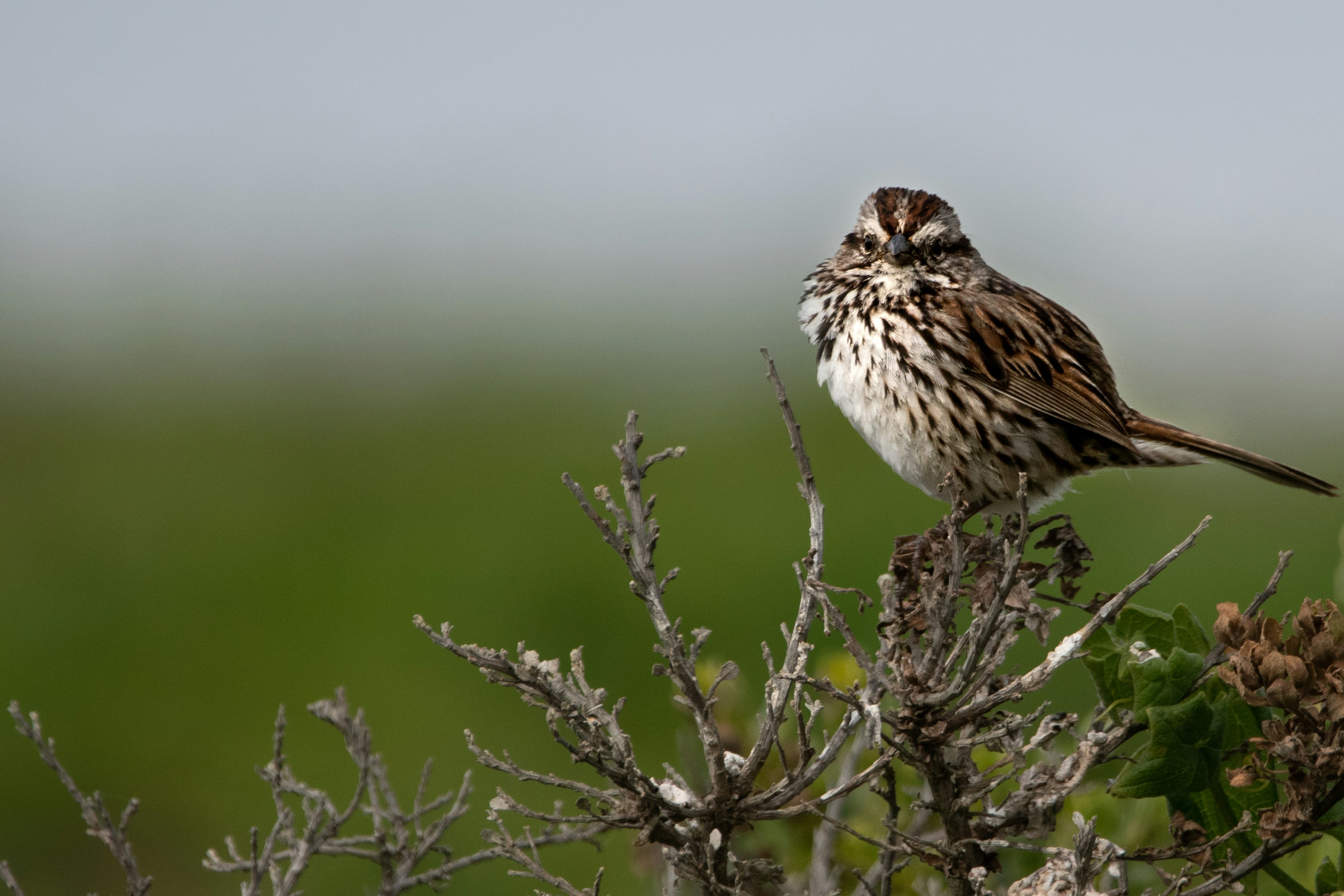 Photo by elisastonephotography