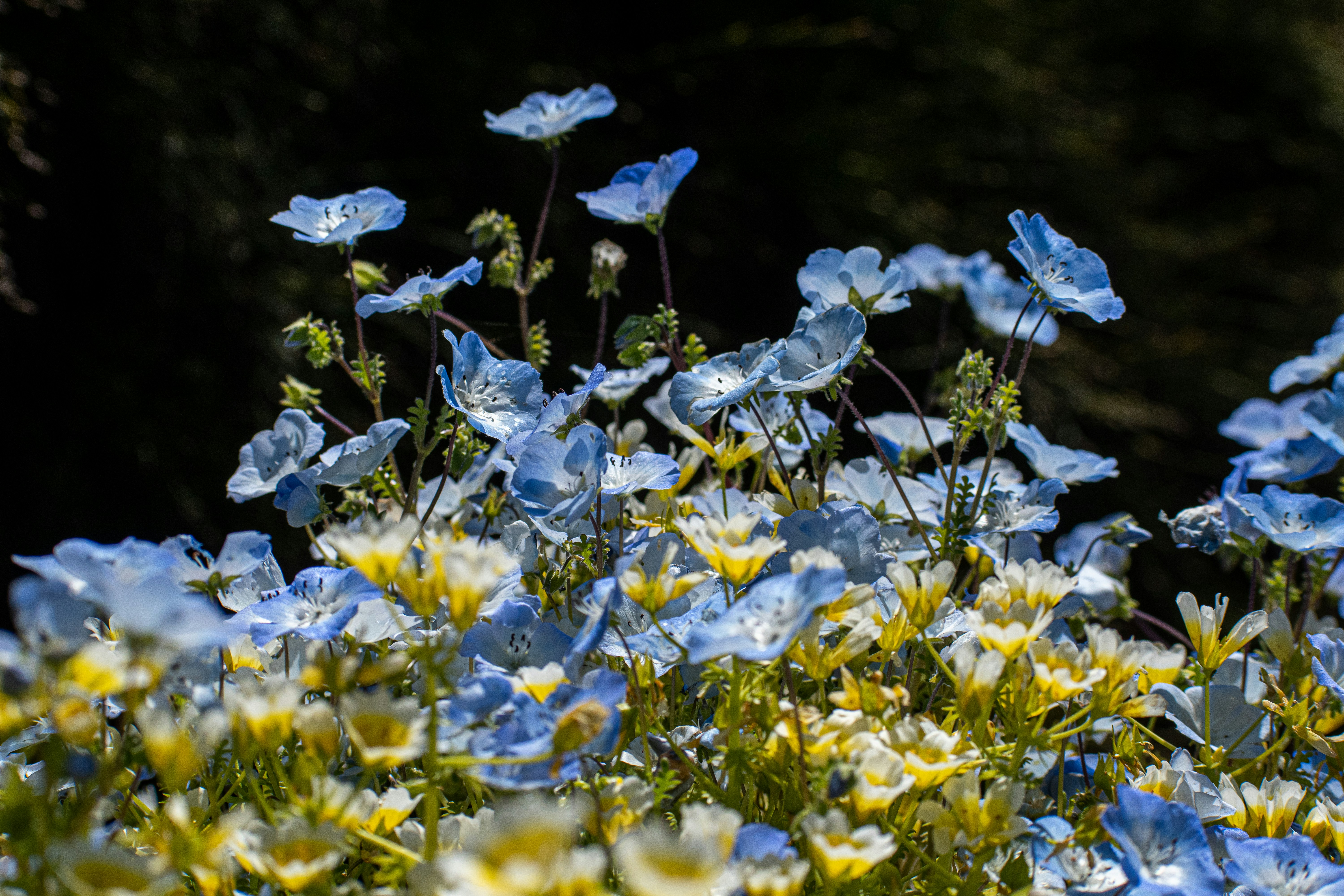 Photo by elisastonephotography