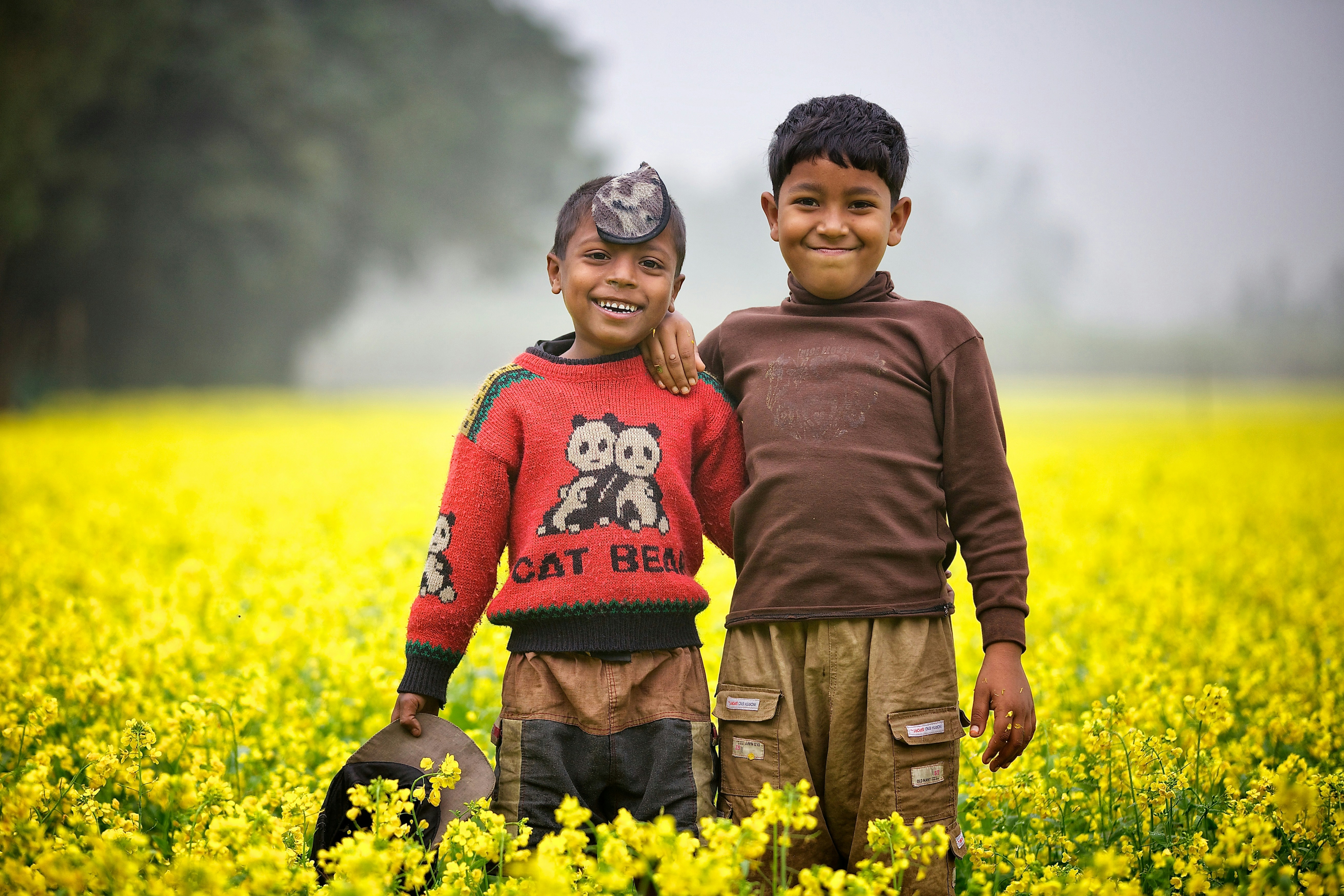man in brown sweater holding woman in red sweater on yellow flower field during daytime