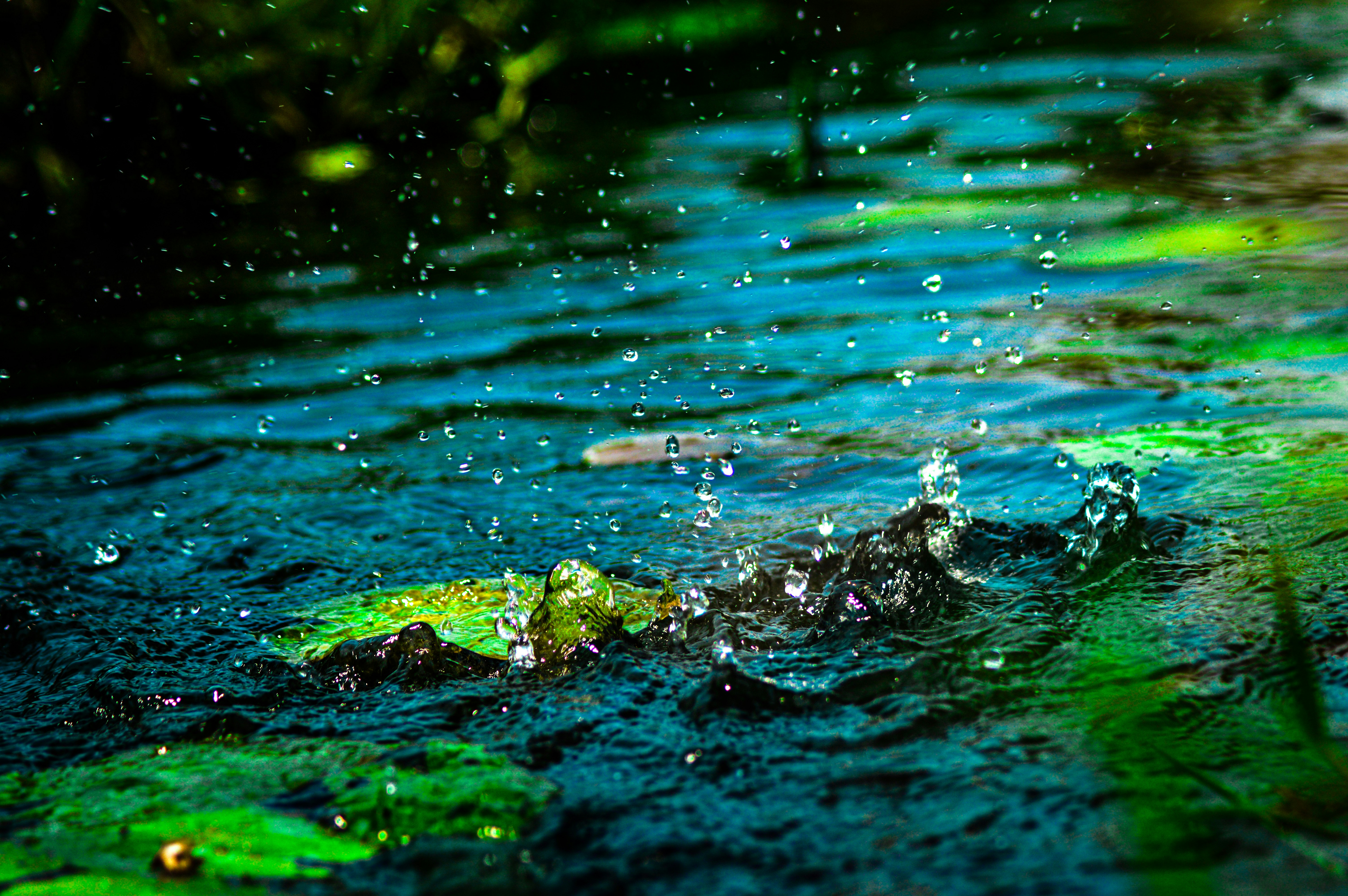 Photo by saiprakash55