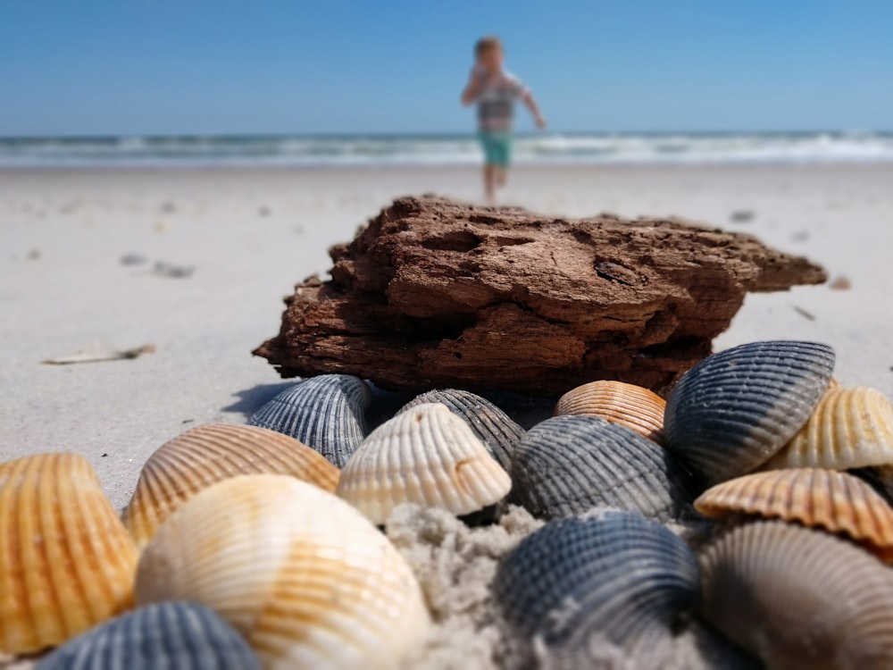 woman in blue denim shorts standing on brown rock near sea during daytime