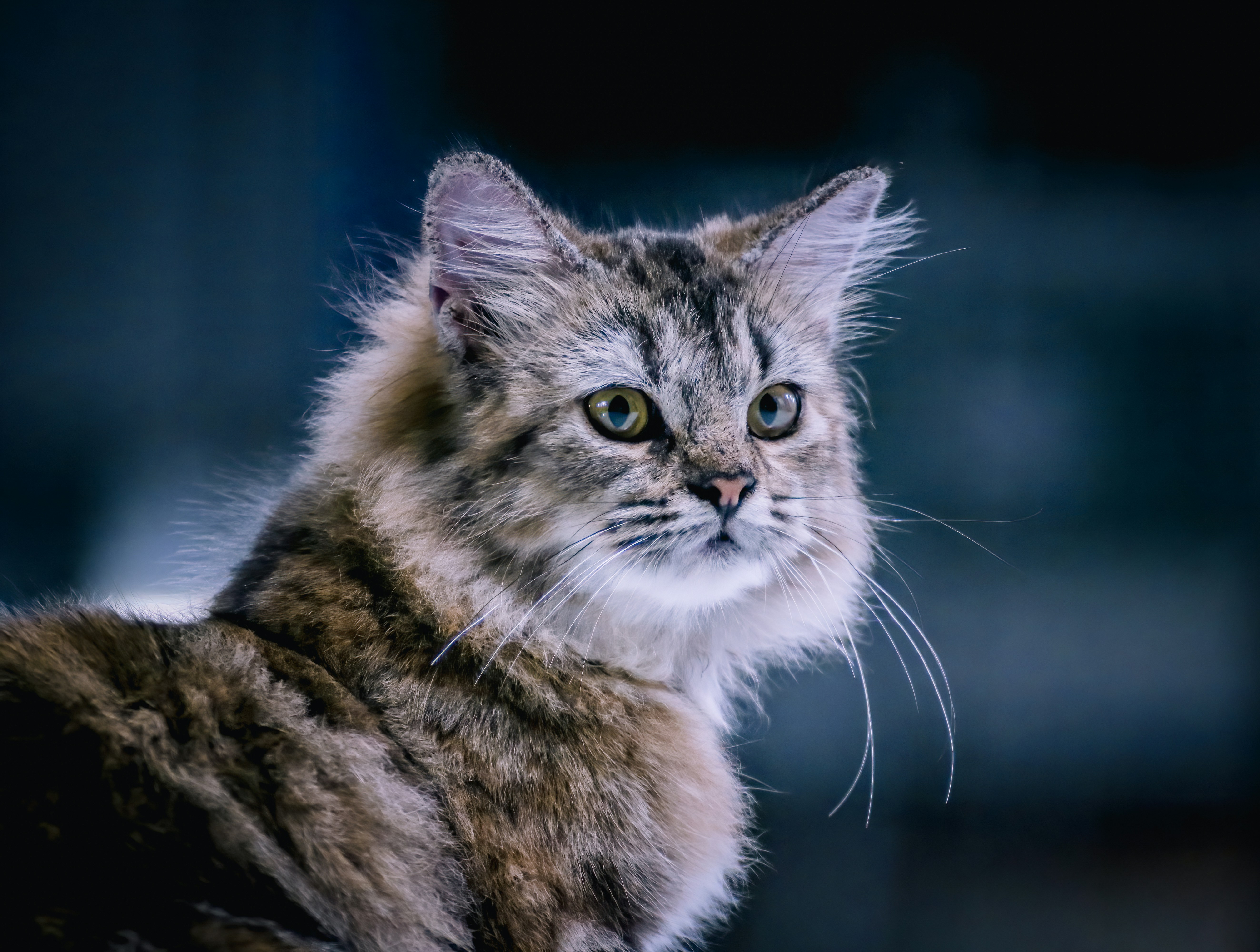 Photo by hikarinoshita