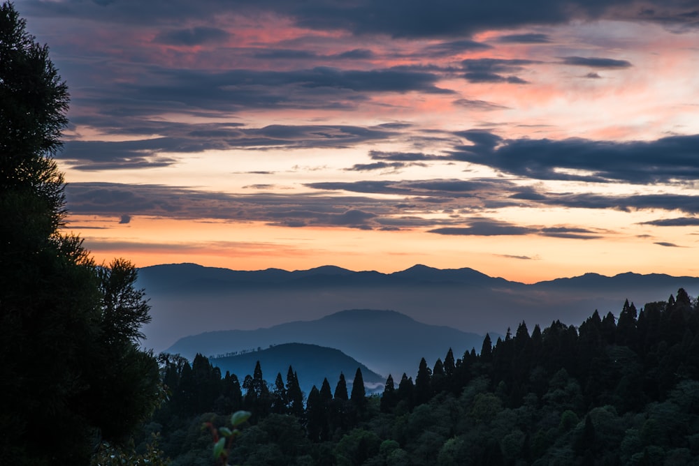 green trees and mountains during sunset