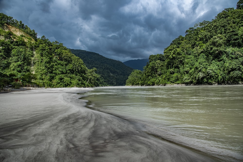 green trees near body of water under white clouds and blue sky during daytime