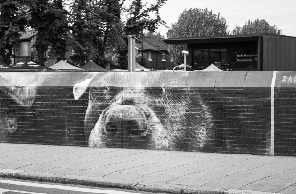 grayscale photo of dog statue