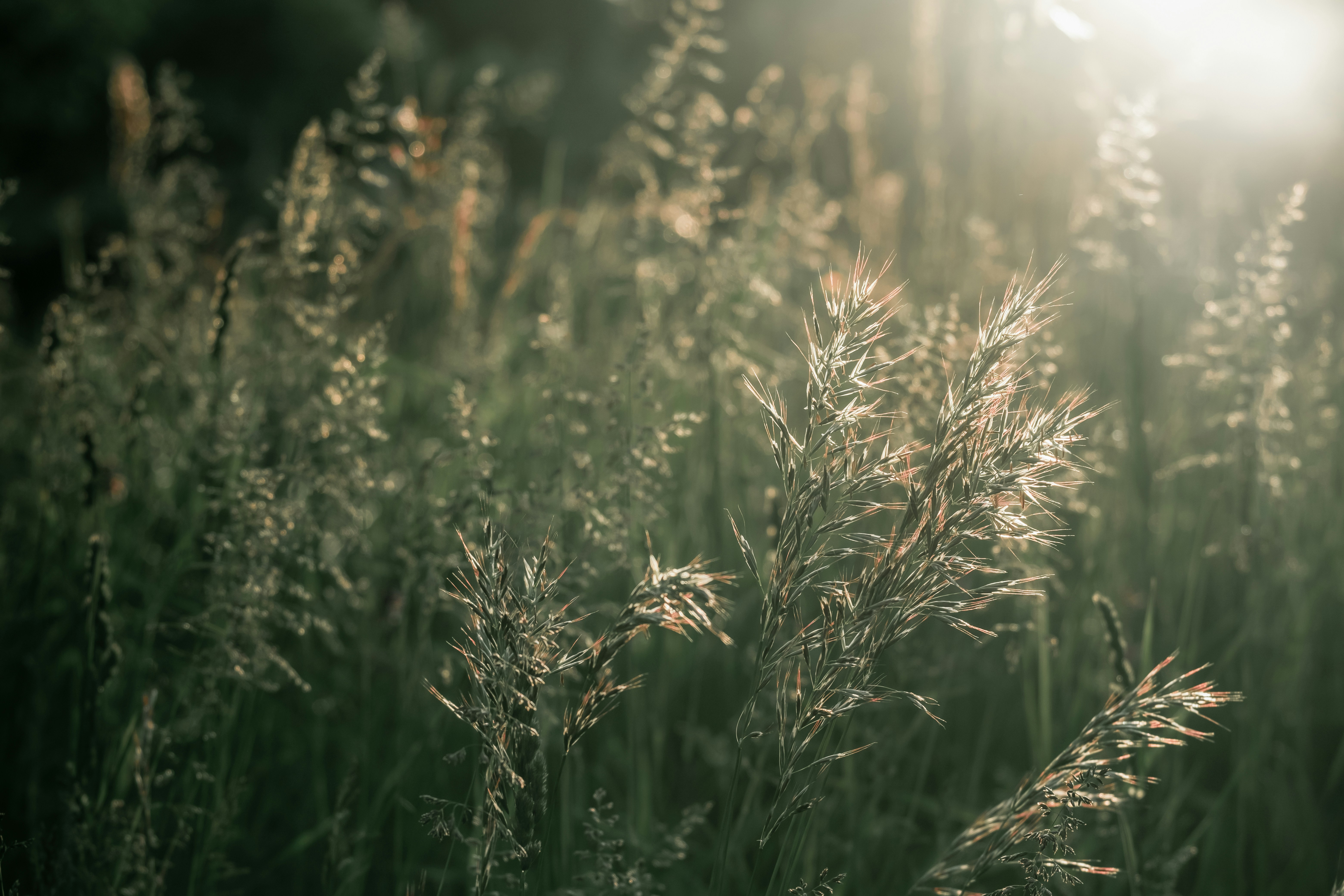 Photo by couleuroriginal