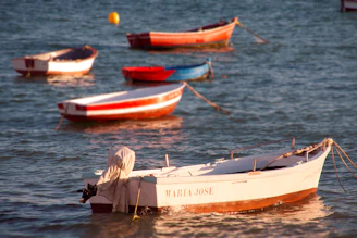 Rutas guiadas familiares en cádiz