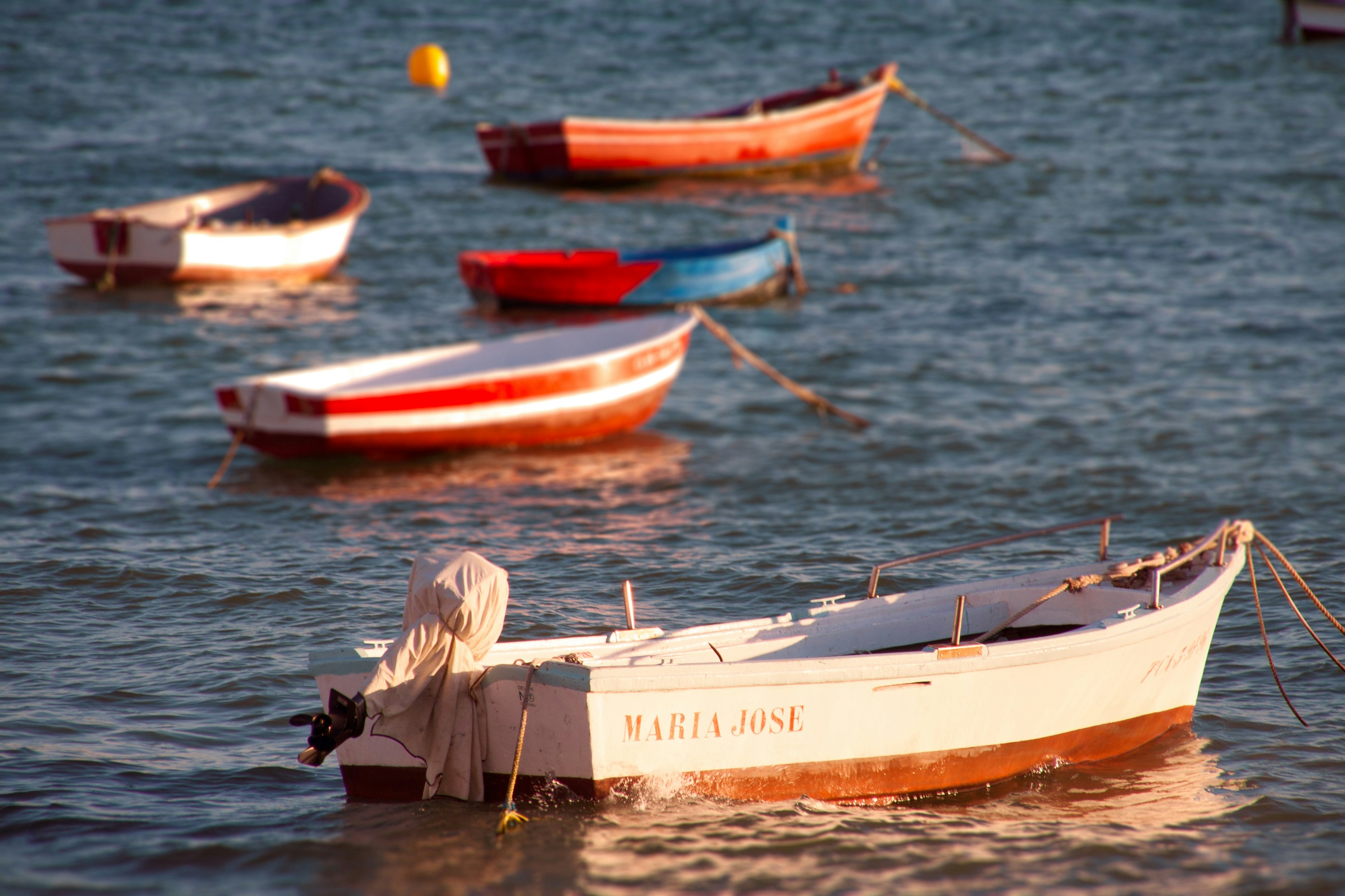 Barcas en el atardecer