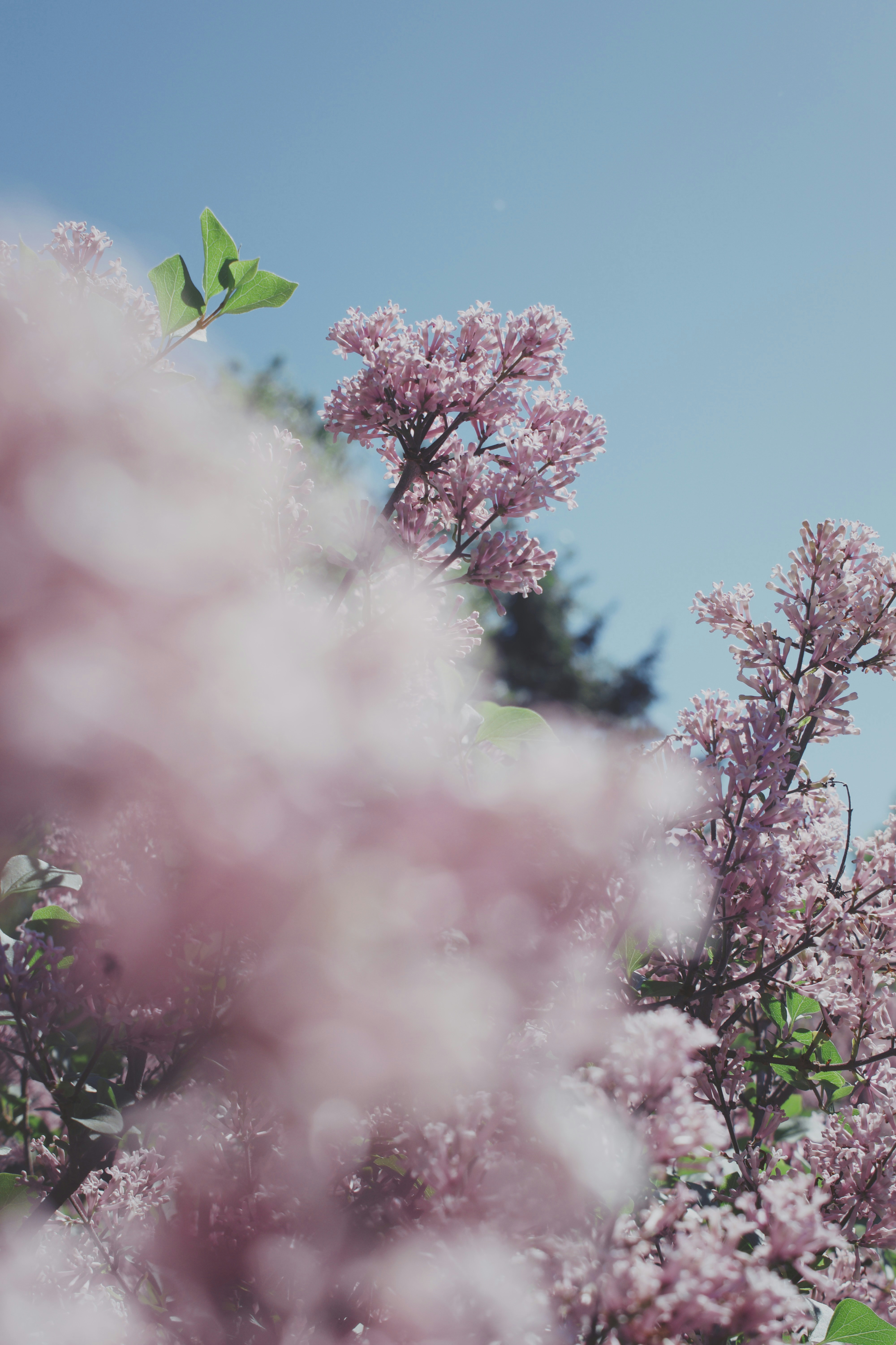 Photo by grantscobby