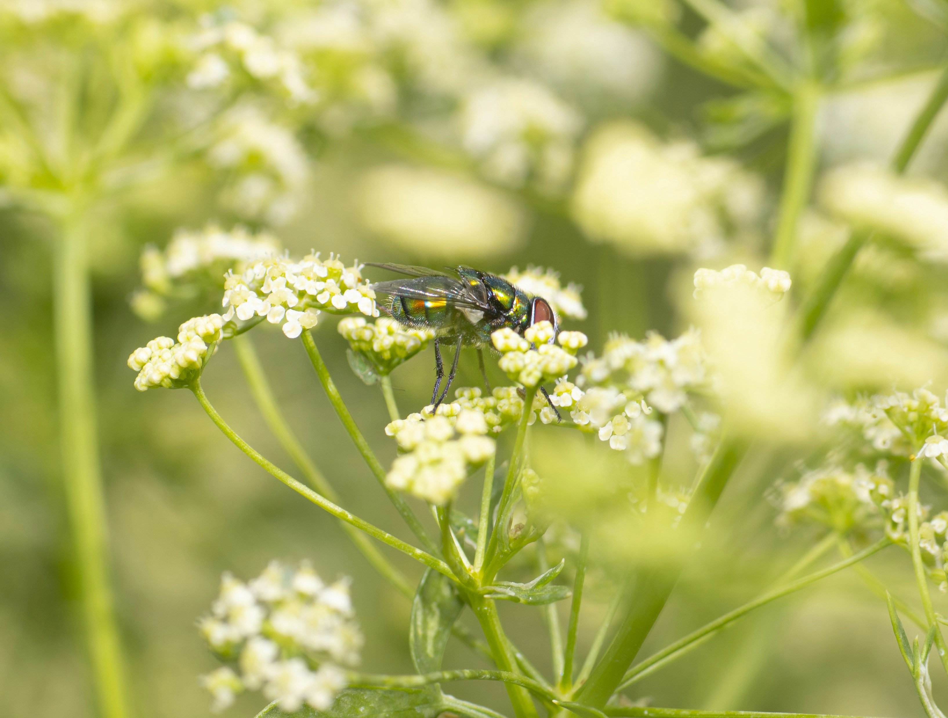 Photo by ashkan_dalir