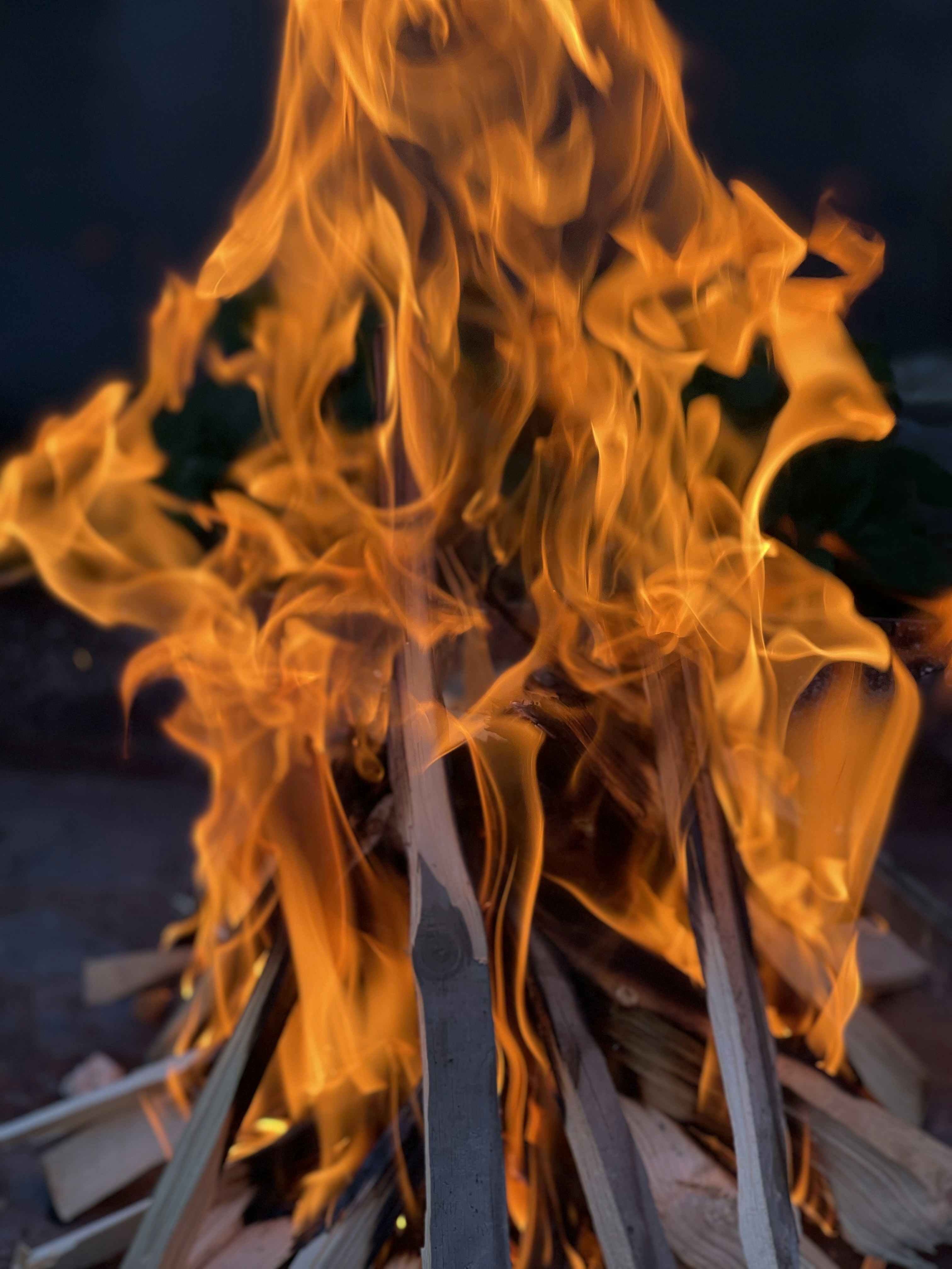 Photo by akhundzadamin