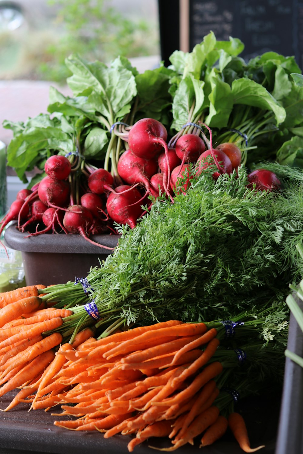 orange carrots and green leaves