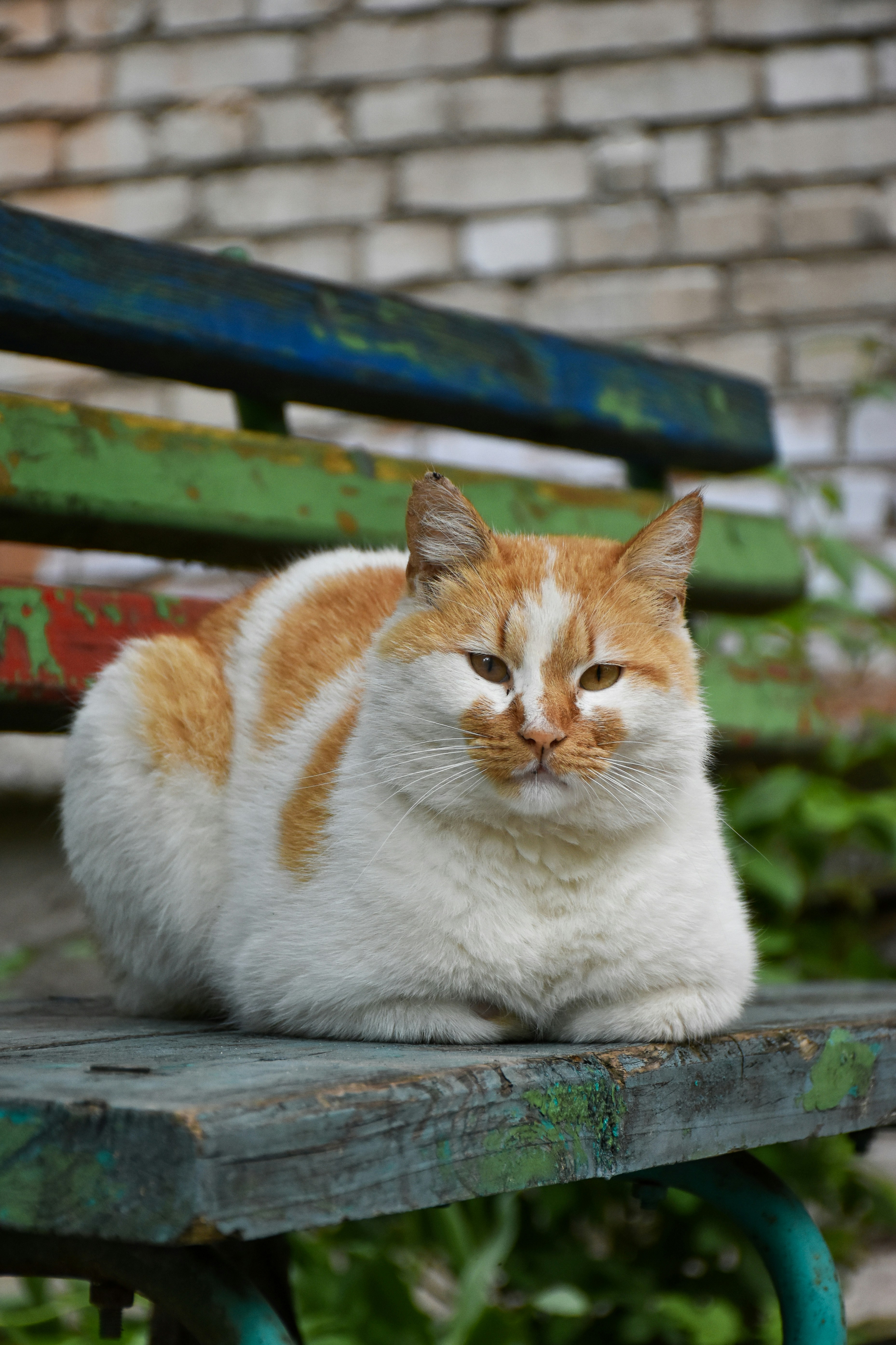 Photo by artem_makarov