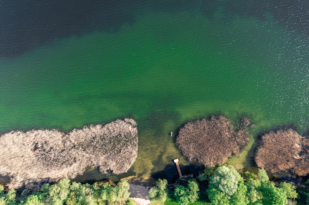 aerial view of green lake