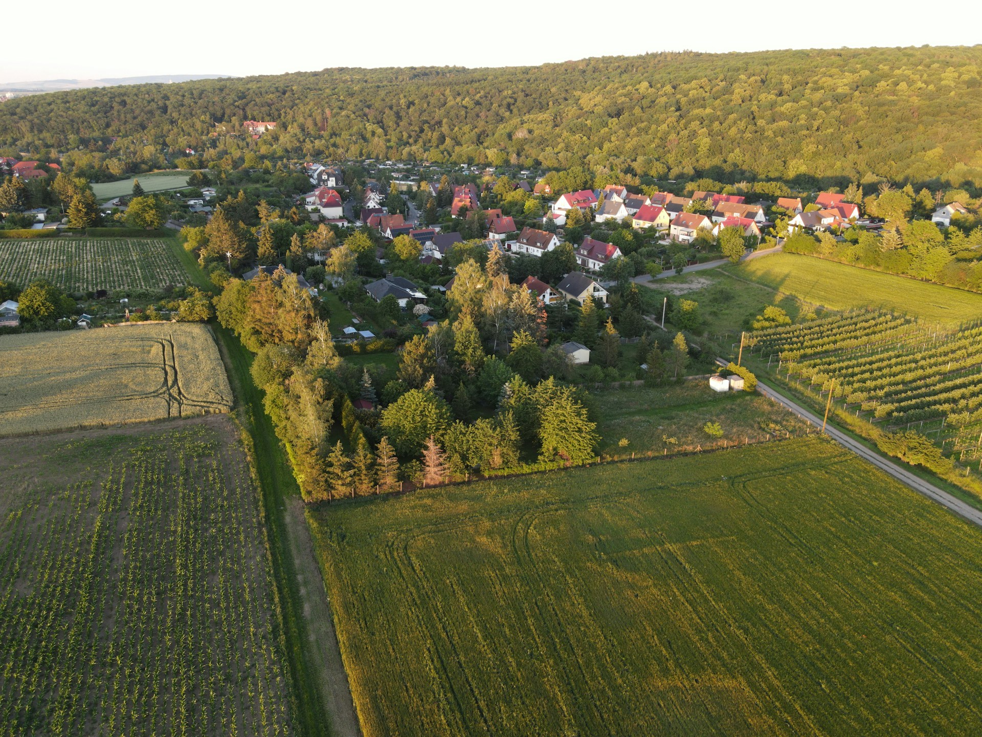 aerial view of green grass field during daytime
