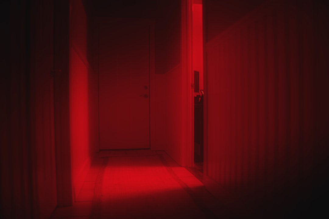 brown wooden door in dark room