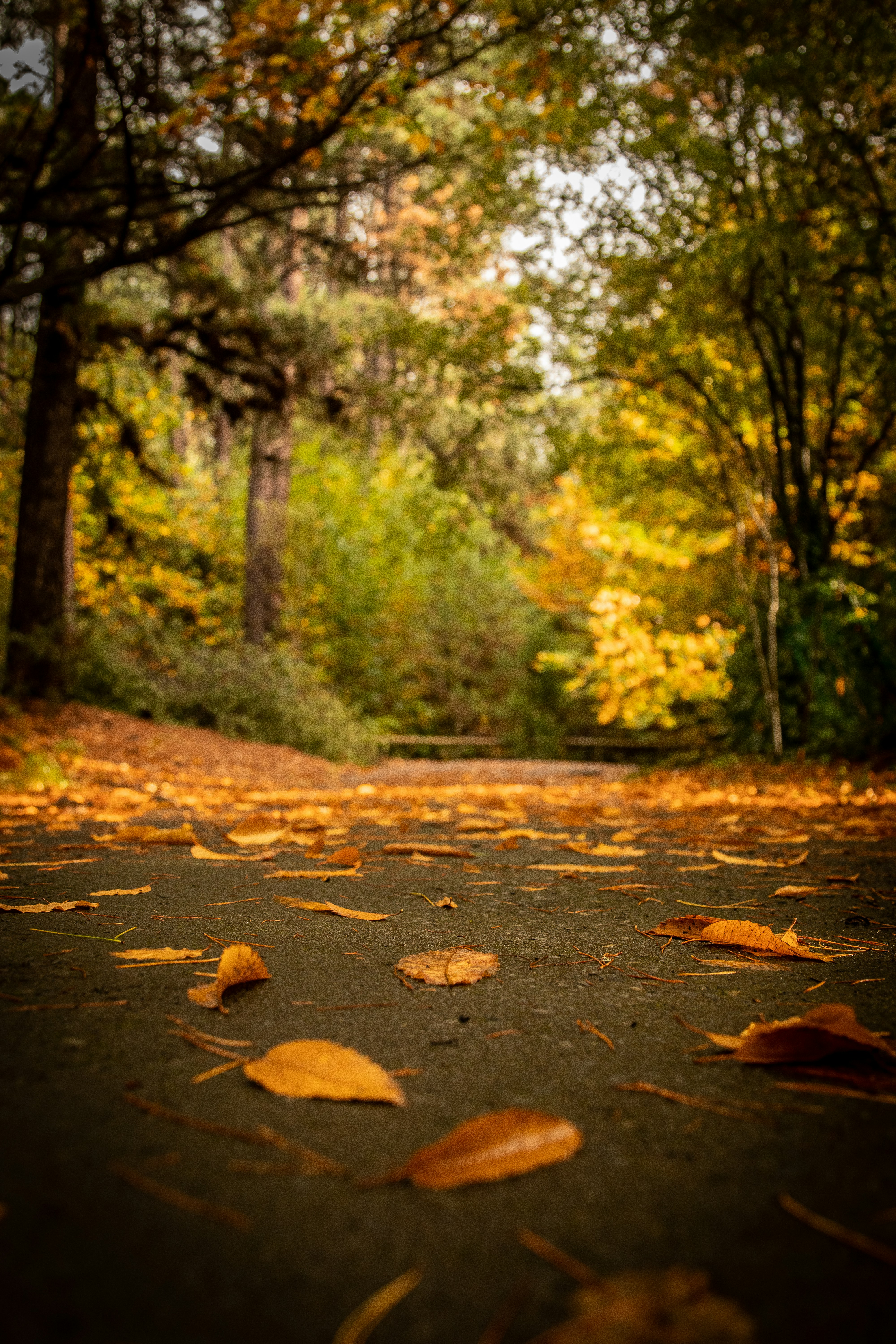 Photo by luwadlinbosman