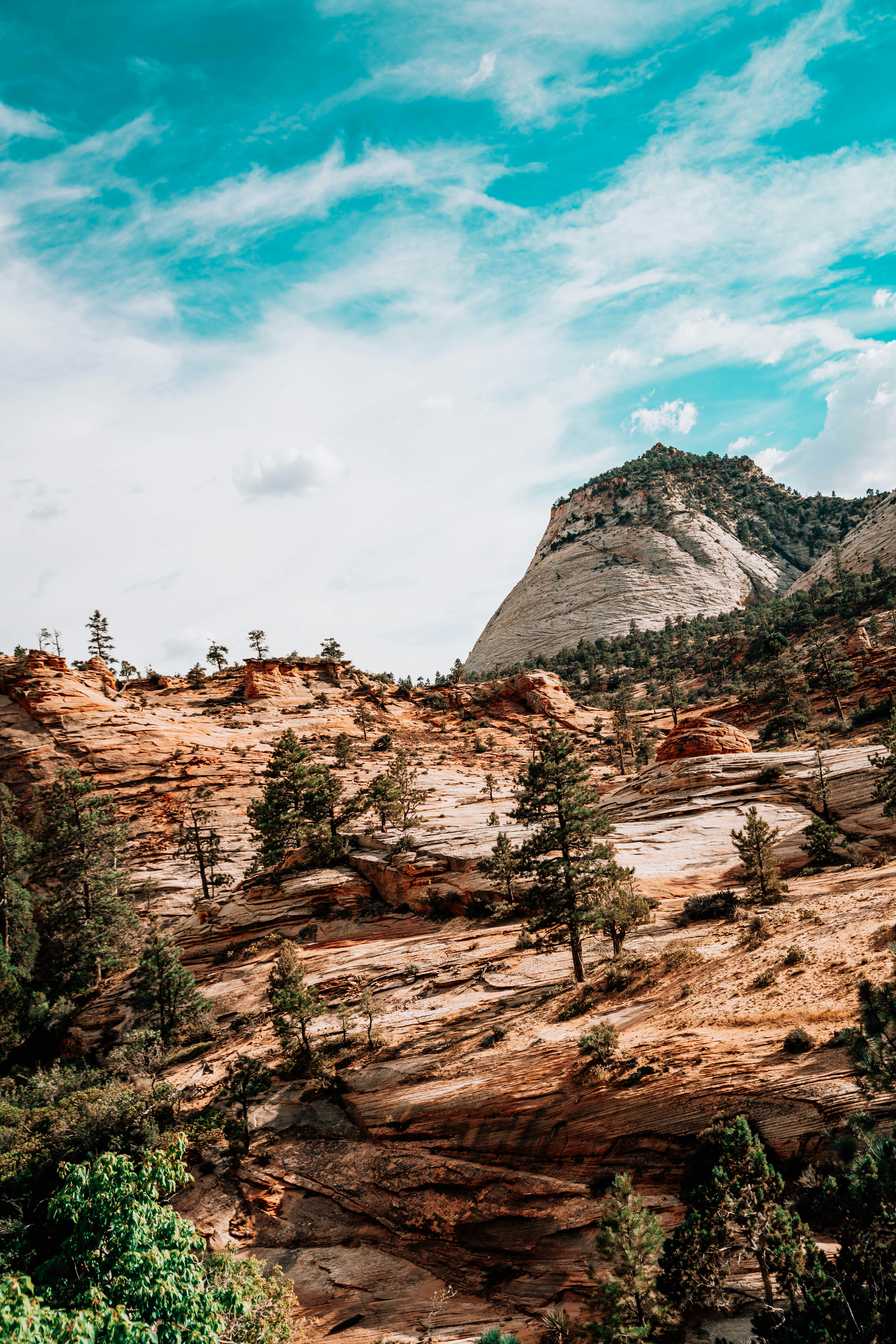 Photo by brendan_stephens