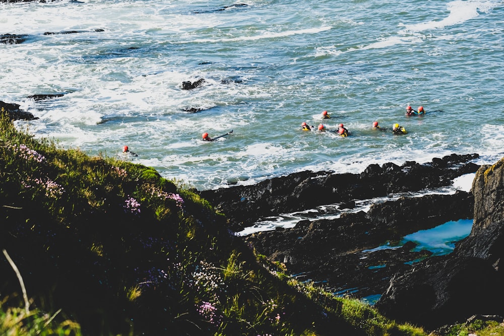 people swimming on sea during daytime