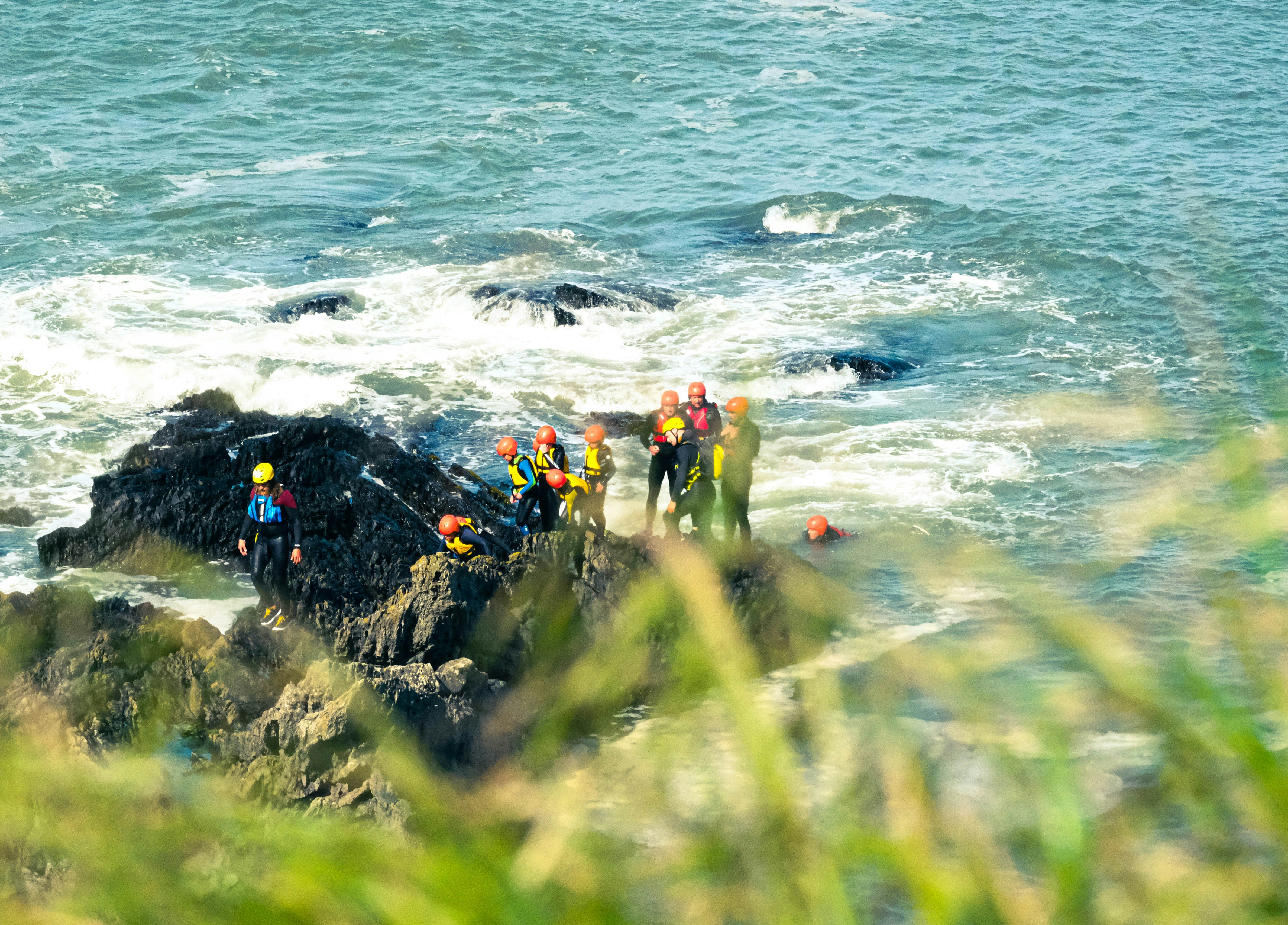people on green grass field near body of water during daytime