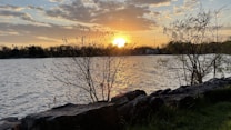 The image captures a serene lakeside view at sunset, with the sun partially obscured by clouds and casting a warm golden light on the water. Sparse trees and rocks are silhouetted in the foreground, while the distant shore is lined with more trees and a few buildings.