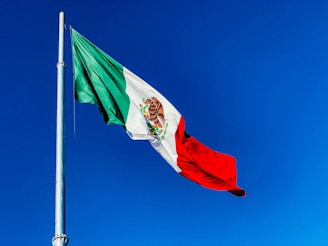 red white and green flag