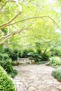 A tranquil garden scene with a stone path and greenery.