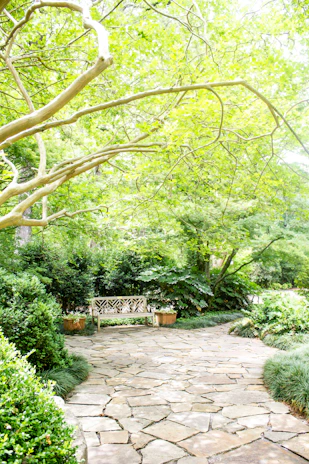 A tranquil outdoor garden space with soft greenery and a wooden bench, perfect for post-massage relaxation.