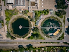 aerial view of green trees and brown buildings during daytime