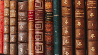 piled of books on brown wooden shelf