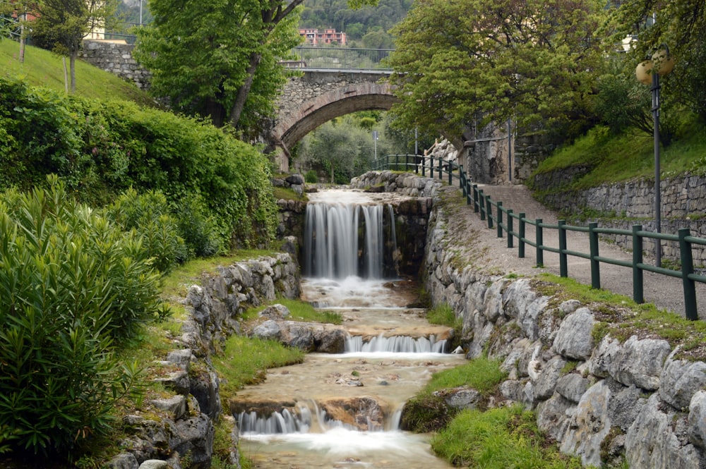 water falls between green trees during daytime