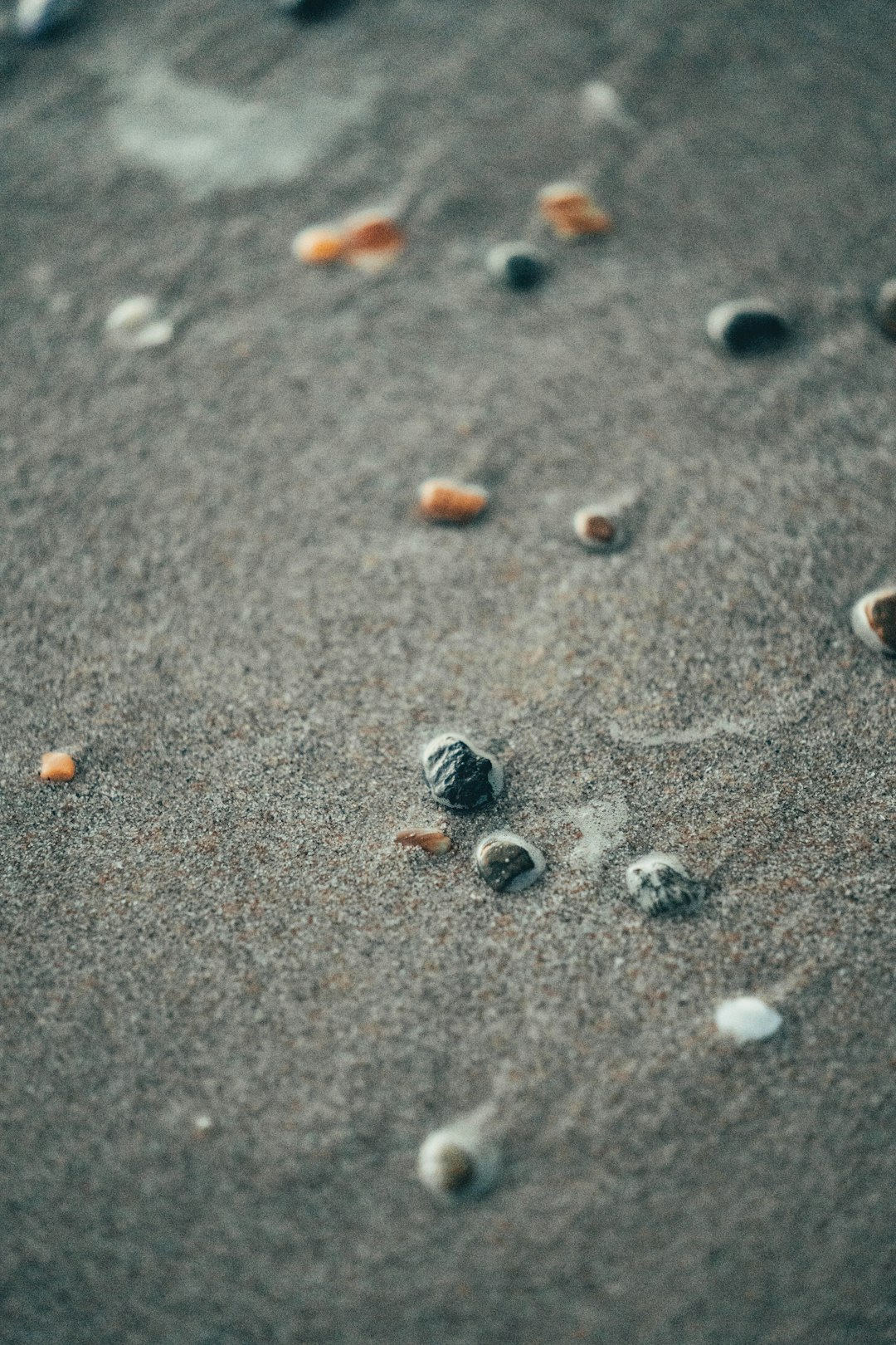 gray and brown stones on gray sand