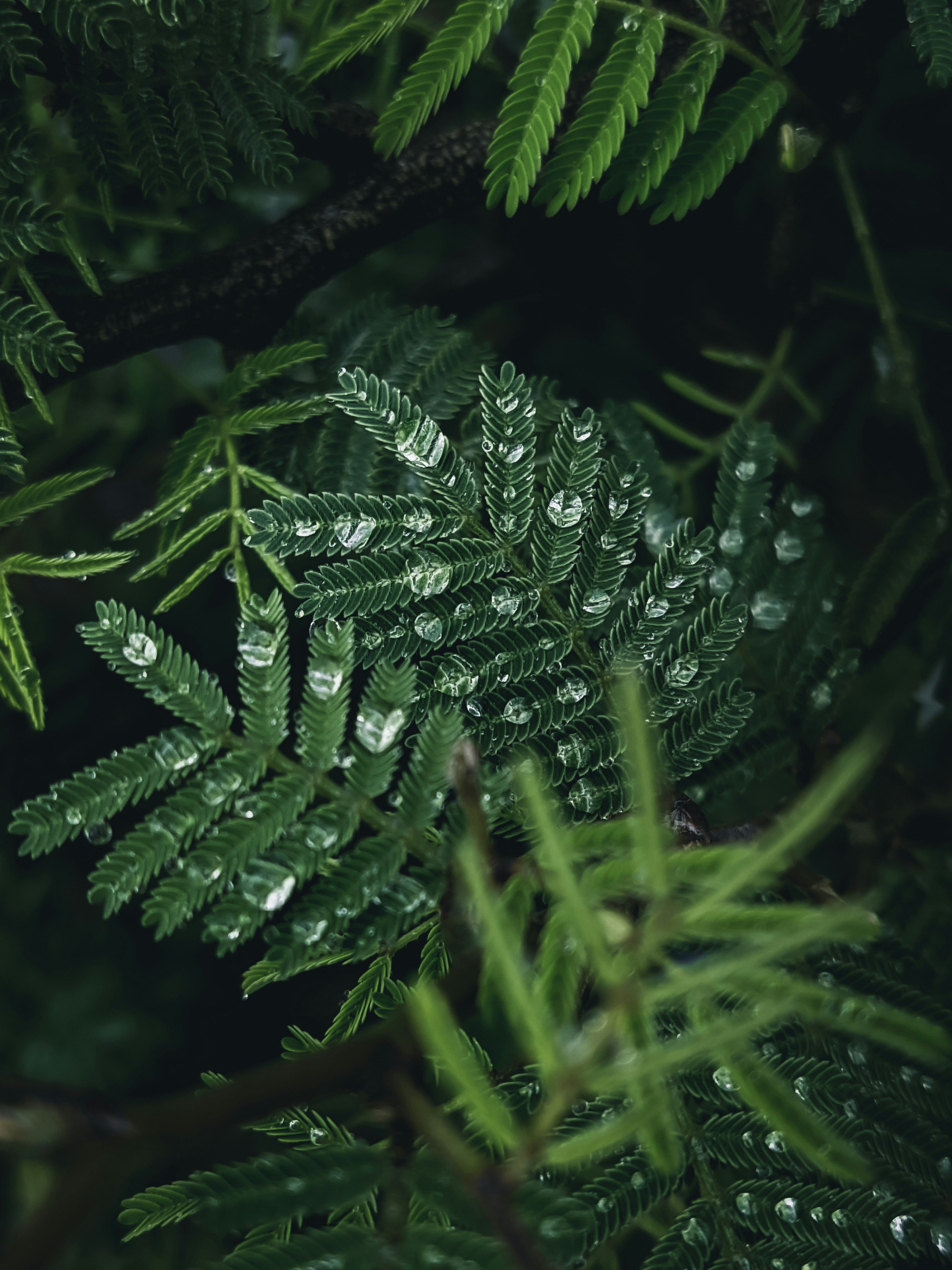 Photo by pixelated_juvenile