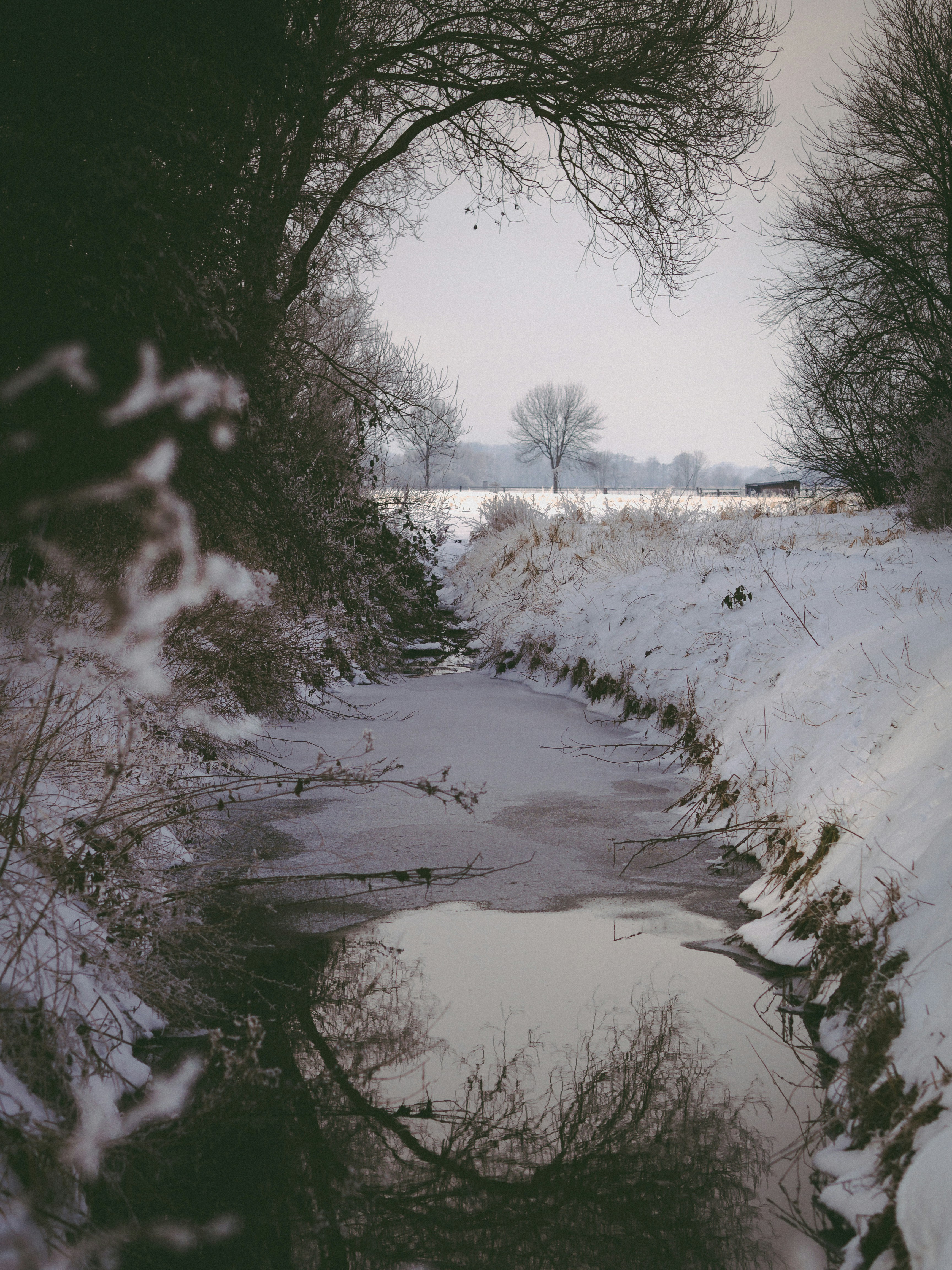 Photo by christiankrebel
