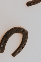 A warm photo of hands gently holding a small metal horseshoe, symbolizing support and craftsmanship.