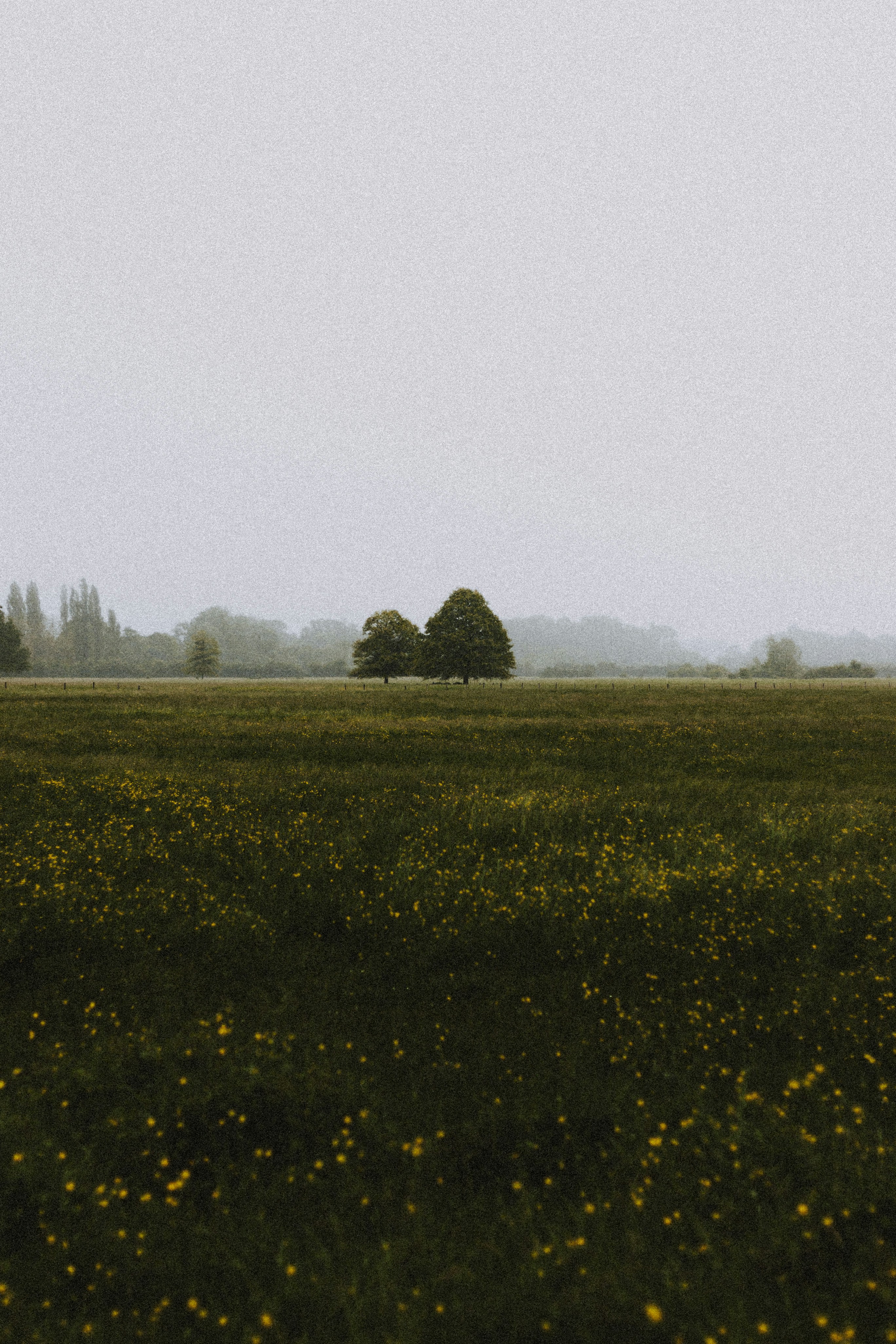 Photo by matreding