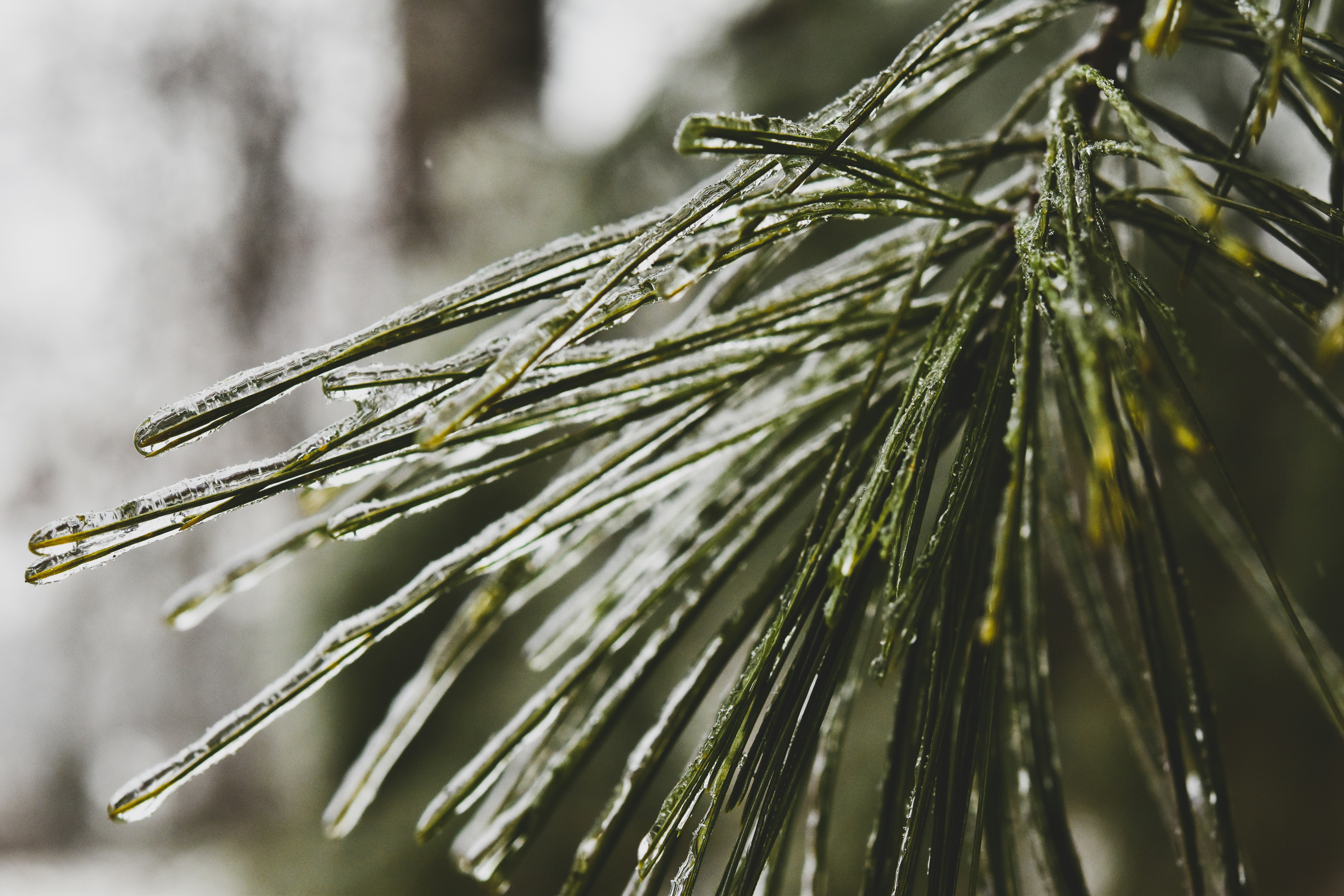 Photo by jasonmphoto