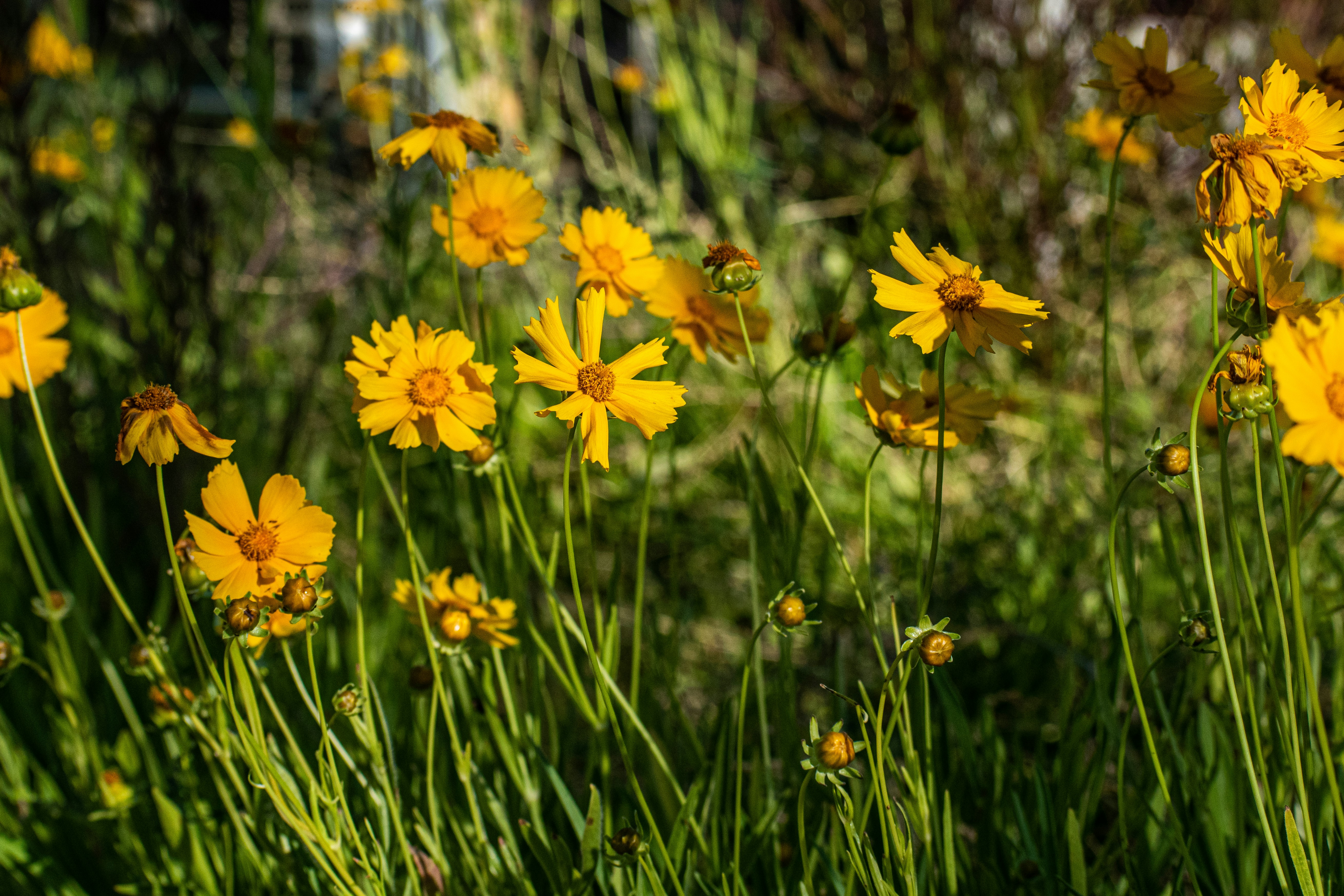 Photo by elisastonephotography