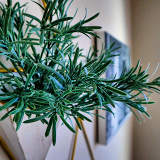 Close-up of a sleek metal planter with a vibrant green plant, set against a clean white background.